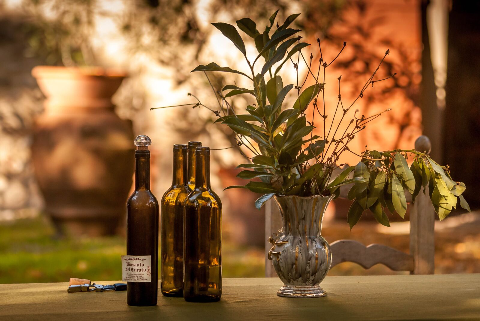 Nikon D60 sample photo. Yard, vine, gardening photography