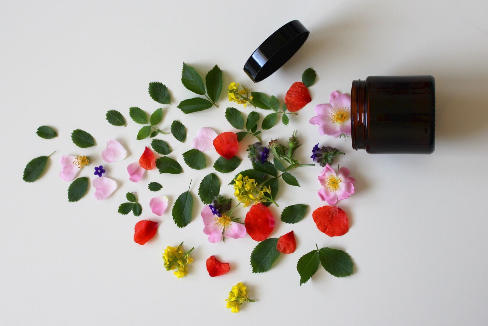 Canon EOS 700D (EOS Rebel T5i / EOS Kiss X7i) sample photo. Natural cosmetics, cosmetics, flowers photography