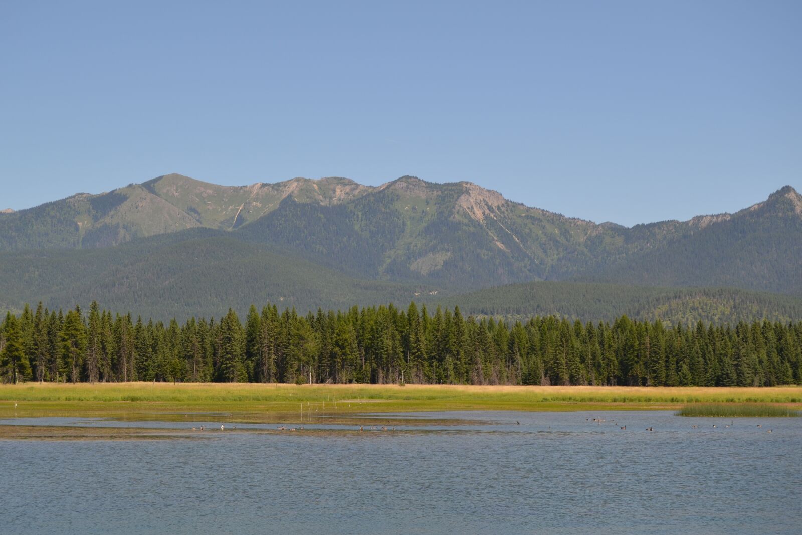 Nikon D3100 sample photo. Lake, mountains, nature photography