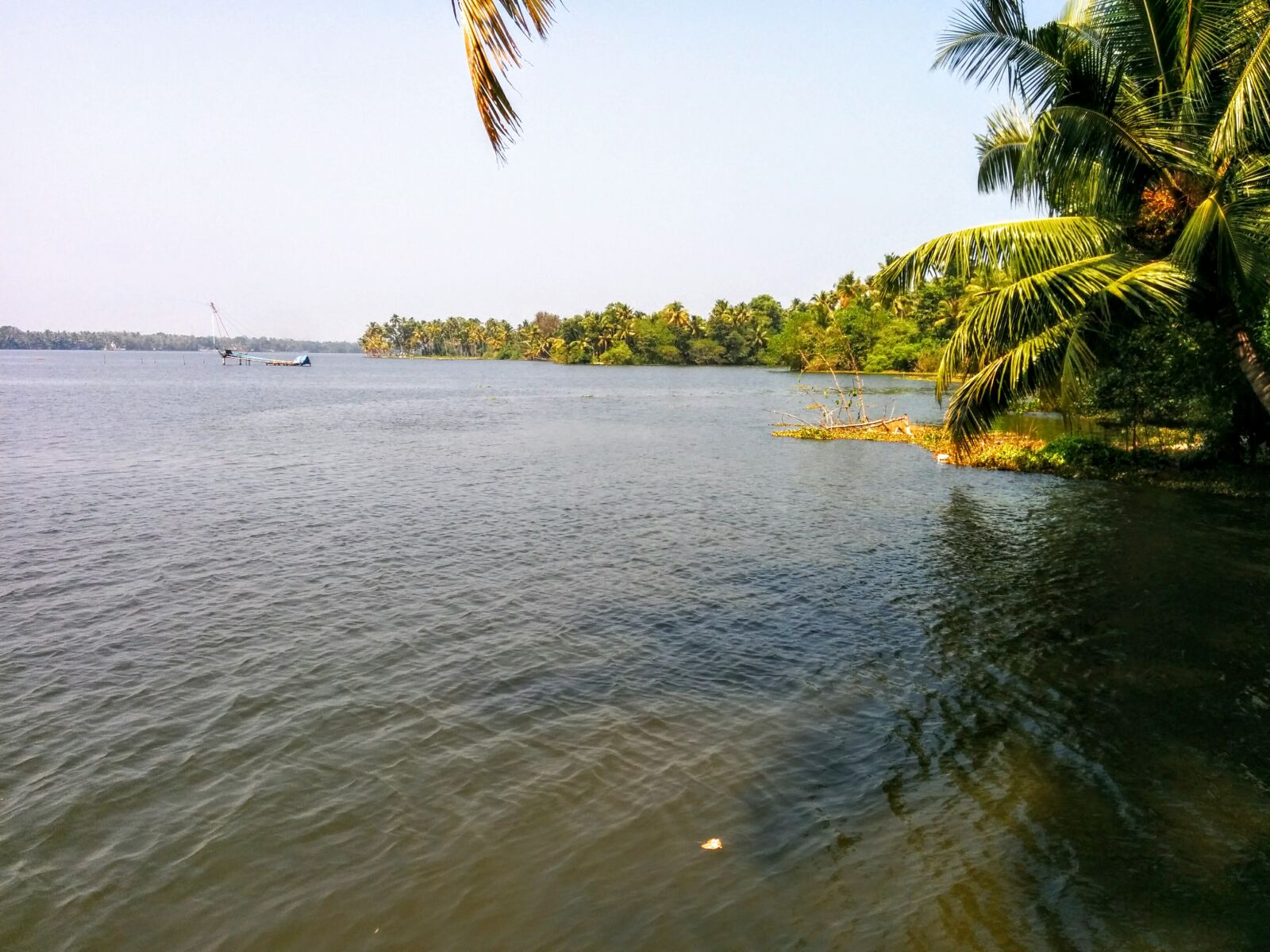 LG Nexus 5 sample photo. Kerala photography