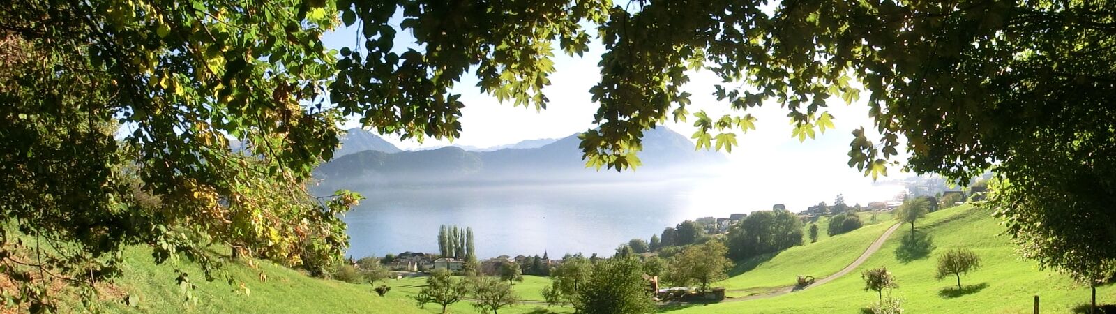 CASIO EX-H30 sample photo. Nature, weggis, lake lucerne photography