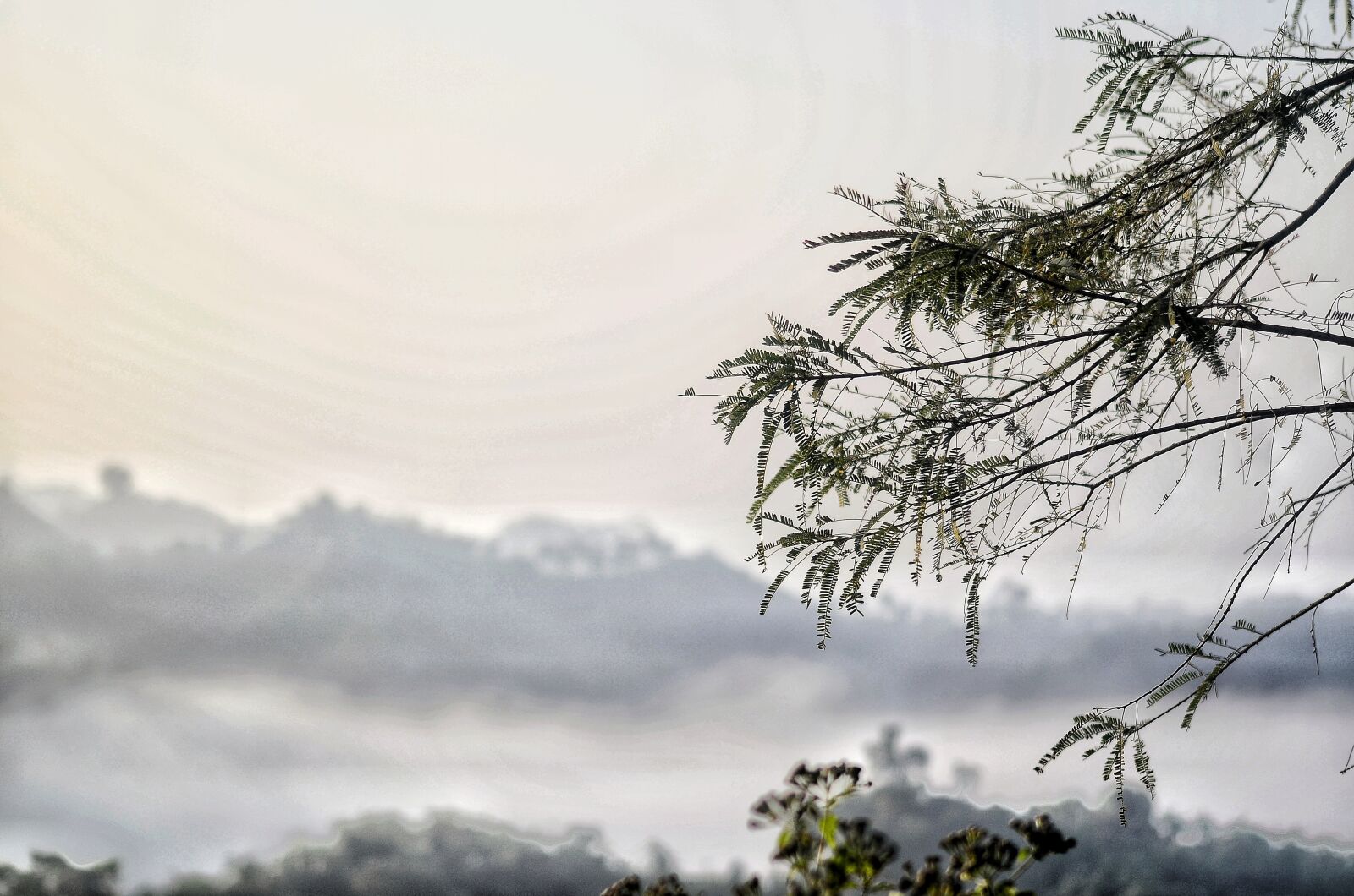 Nikon D5100 sample photo. Mountain, hill, street photography