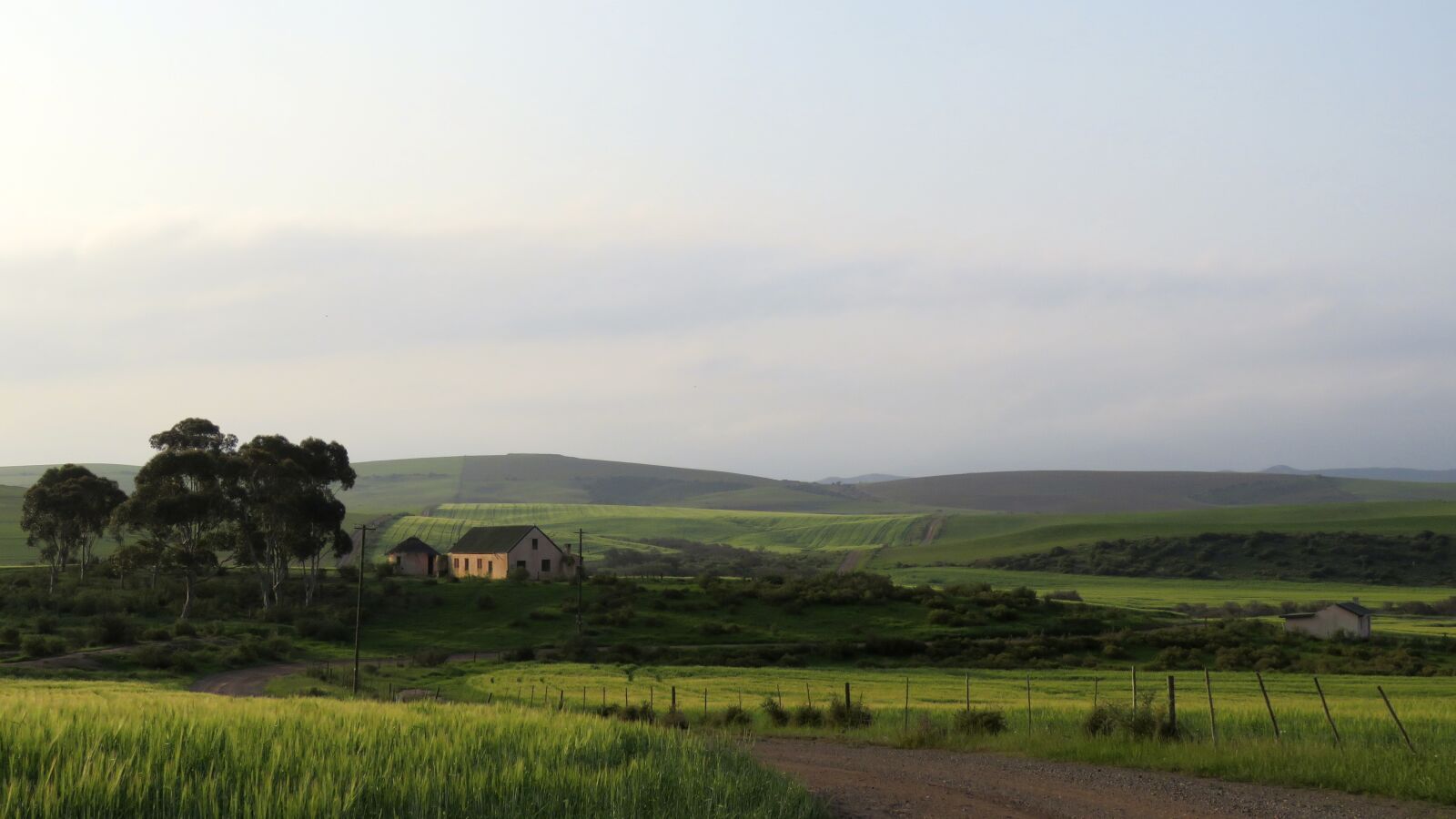 Canon PowerShot SX60 HS sample photo. Farm, wheat, country photography