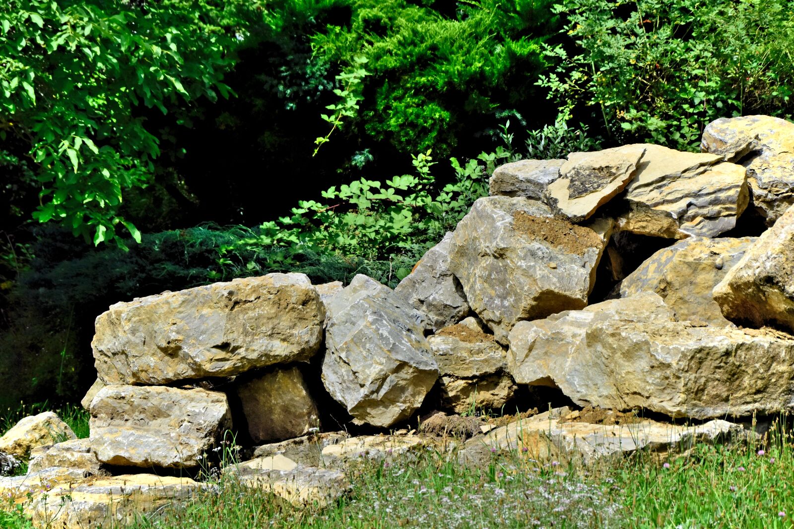 Nikon D5500 sample photo. Stone, rock, bedrock photography