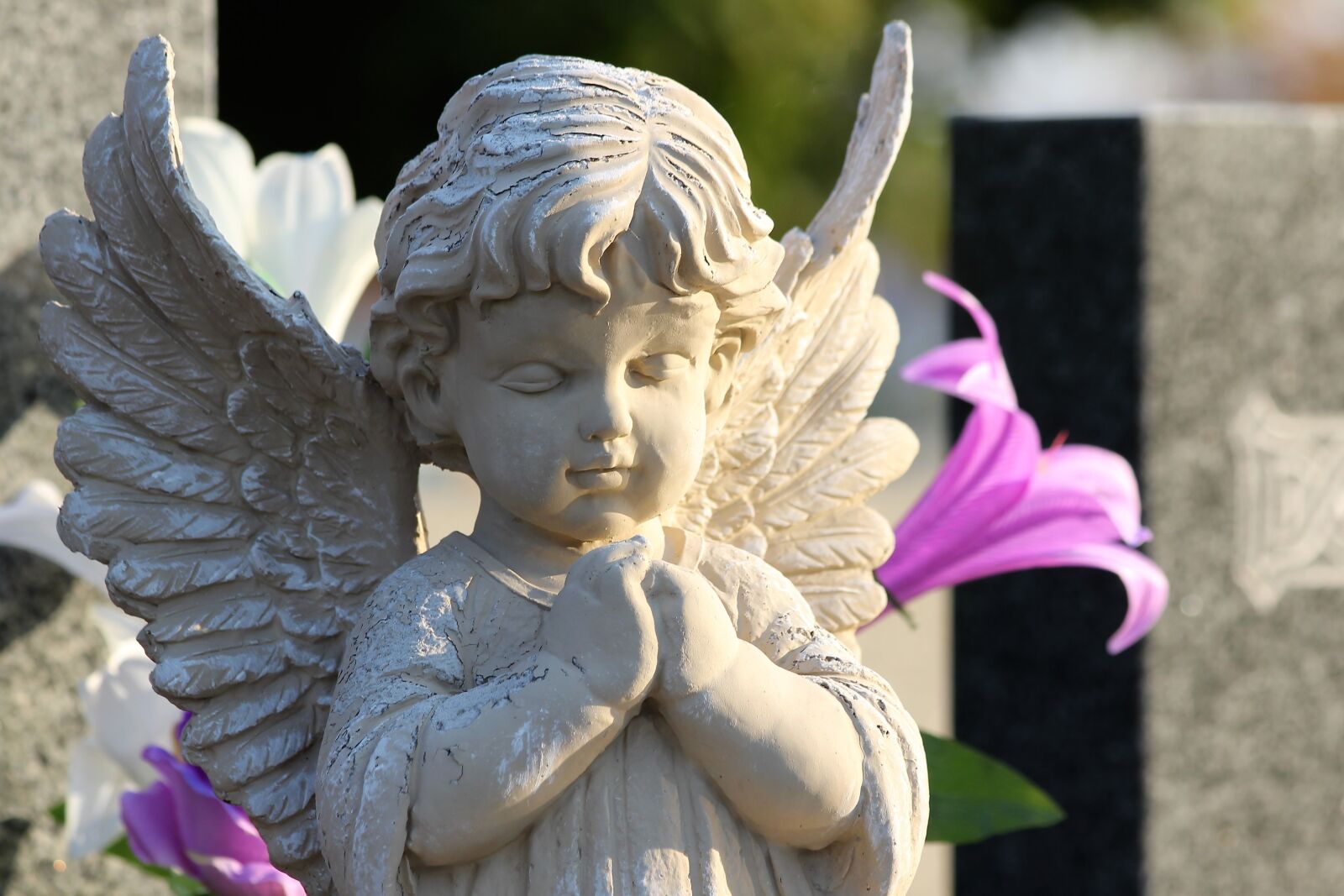 Canon EOS 600D (Rebel EOS T3i / EOS Kiss X5) sample photo. Angel praying, sculpture, statue photography