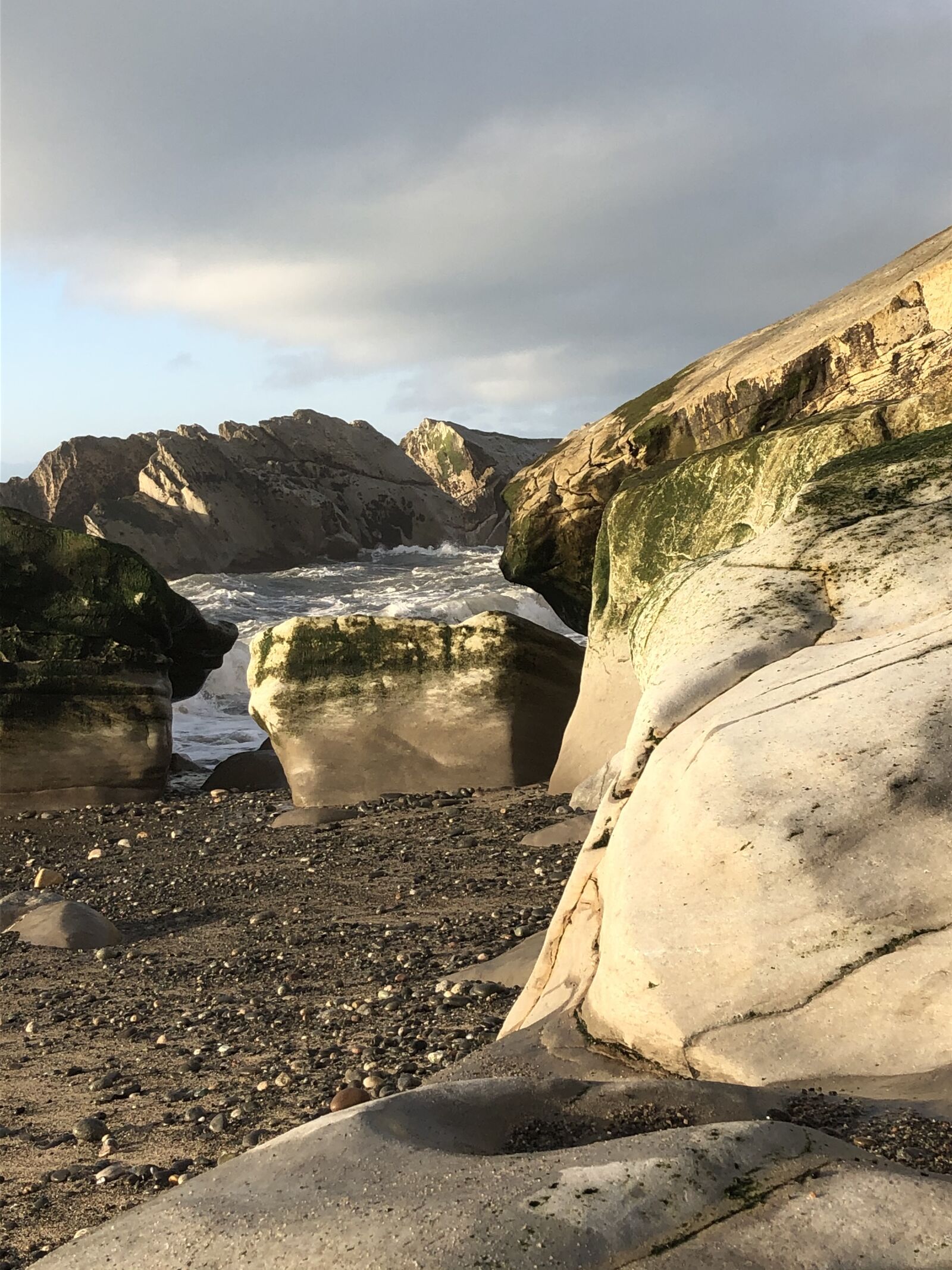 iPhone 8 back camera 3.99mm f/1.8 sample photo. Mokihinui, west coast, south photography