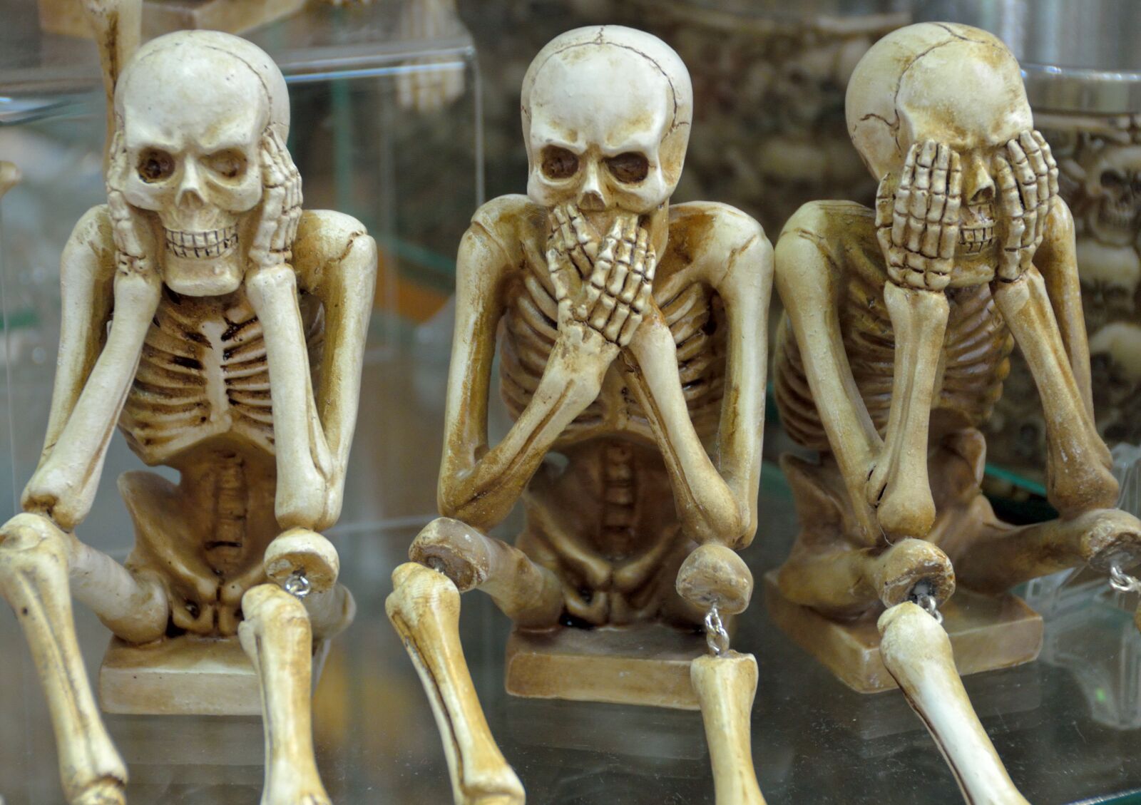 Nikon D7000 sample photo. Skeletons, funny, hear no photography
