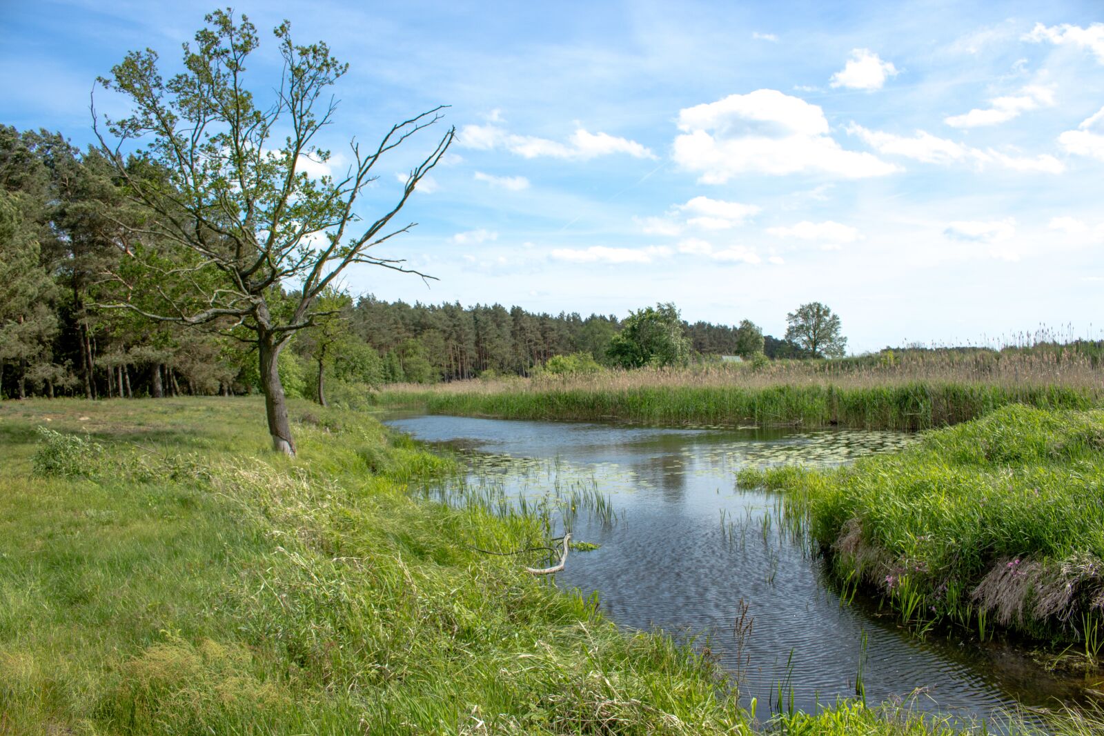 Canon EOS 700D (EOS Rebel T5i / EOS Kiss X7i) sample photo. Nature, trail, relaxation photography
