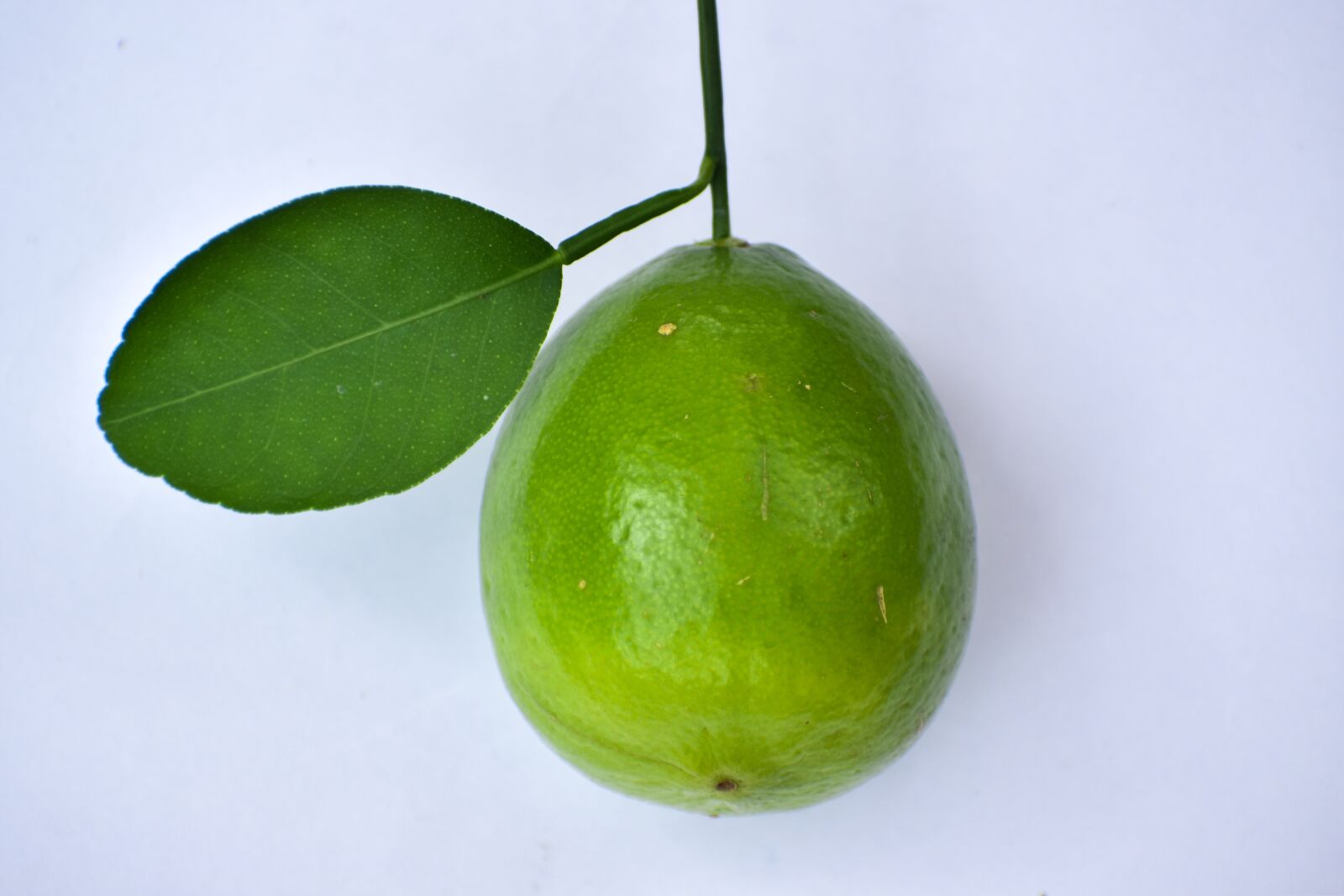 Nikon D3500 sample photo. Tropical, citrus, food photography