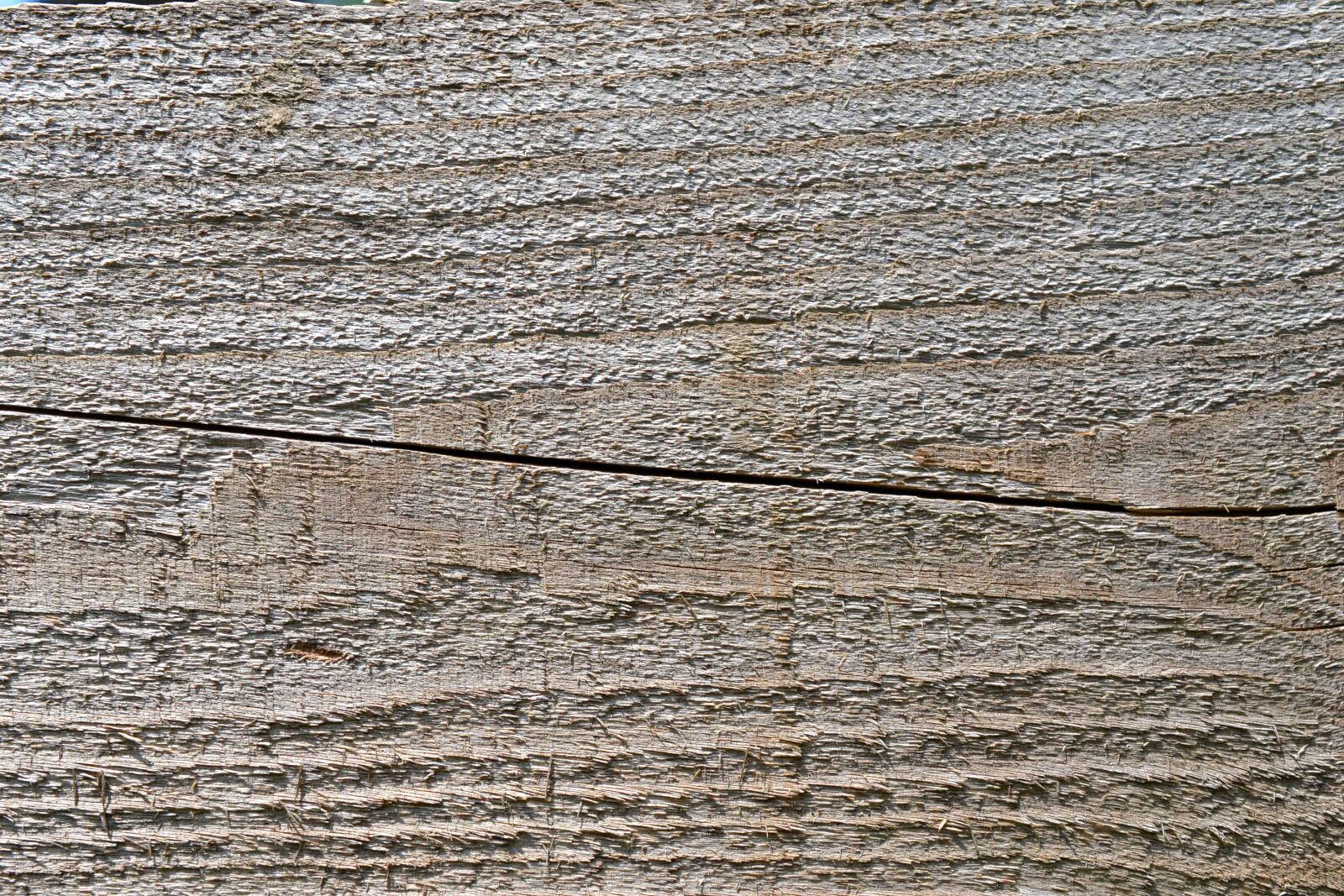 Nikon D3100 sample photo. Hardwood, pattern, brown, design photography