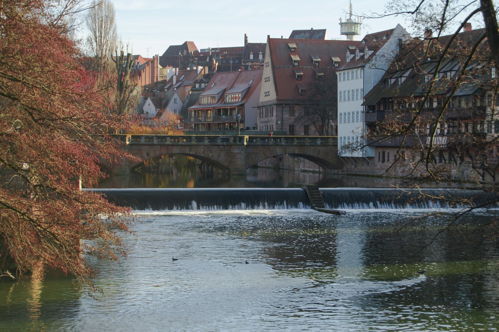 Nikon D3200 sample photo. River, park, nature photography