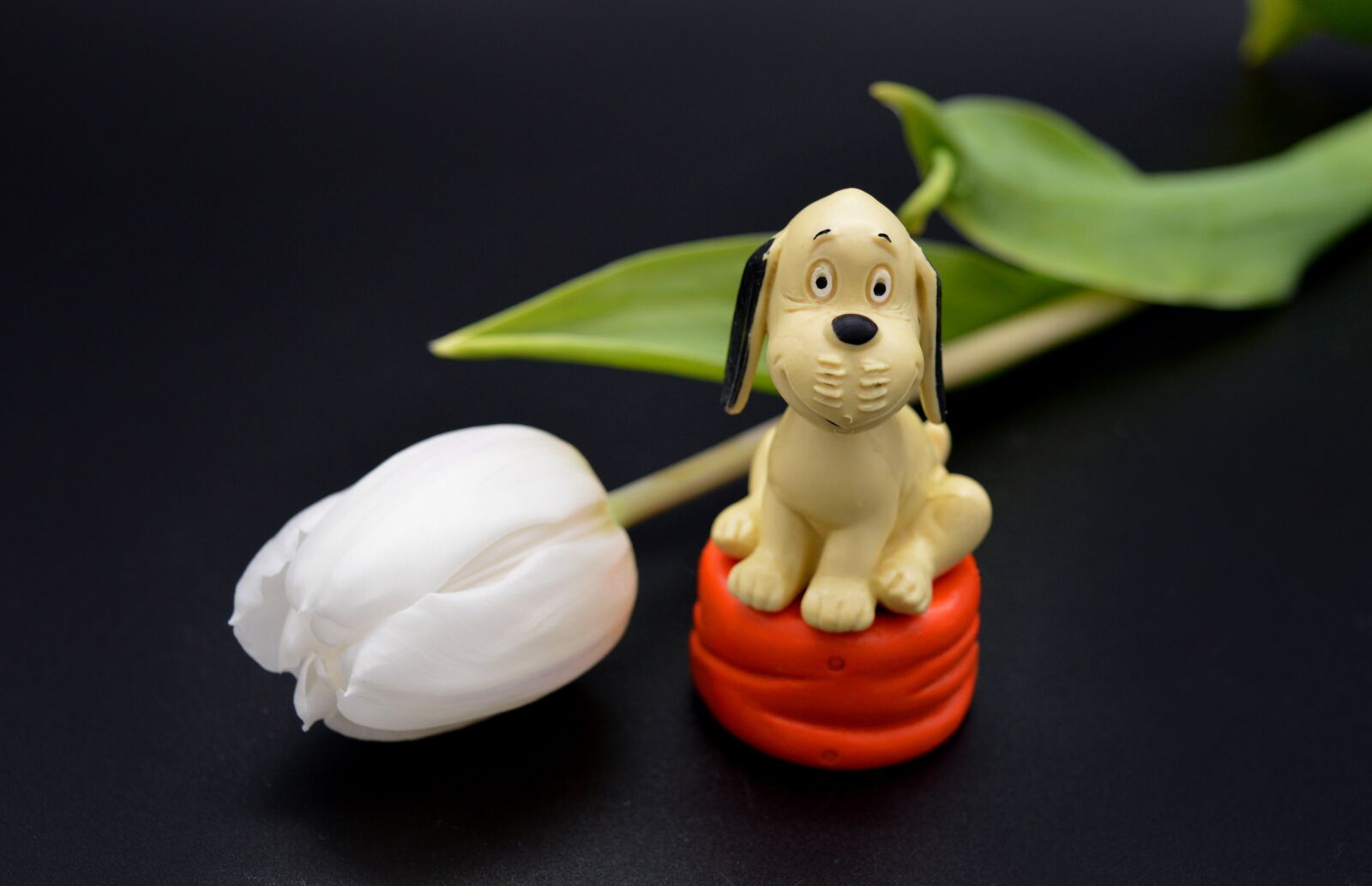 Nikon D3200 sample photo. White tumor, wum, cartoon photography