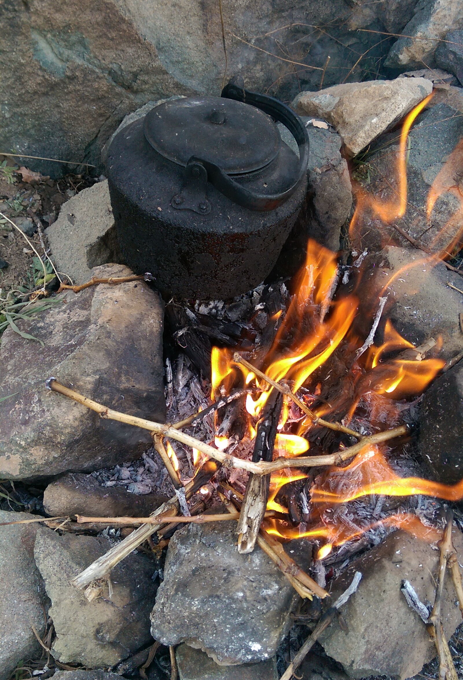 HTC ONE M8 sample photo. Fire, tea photography