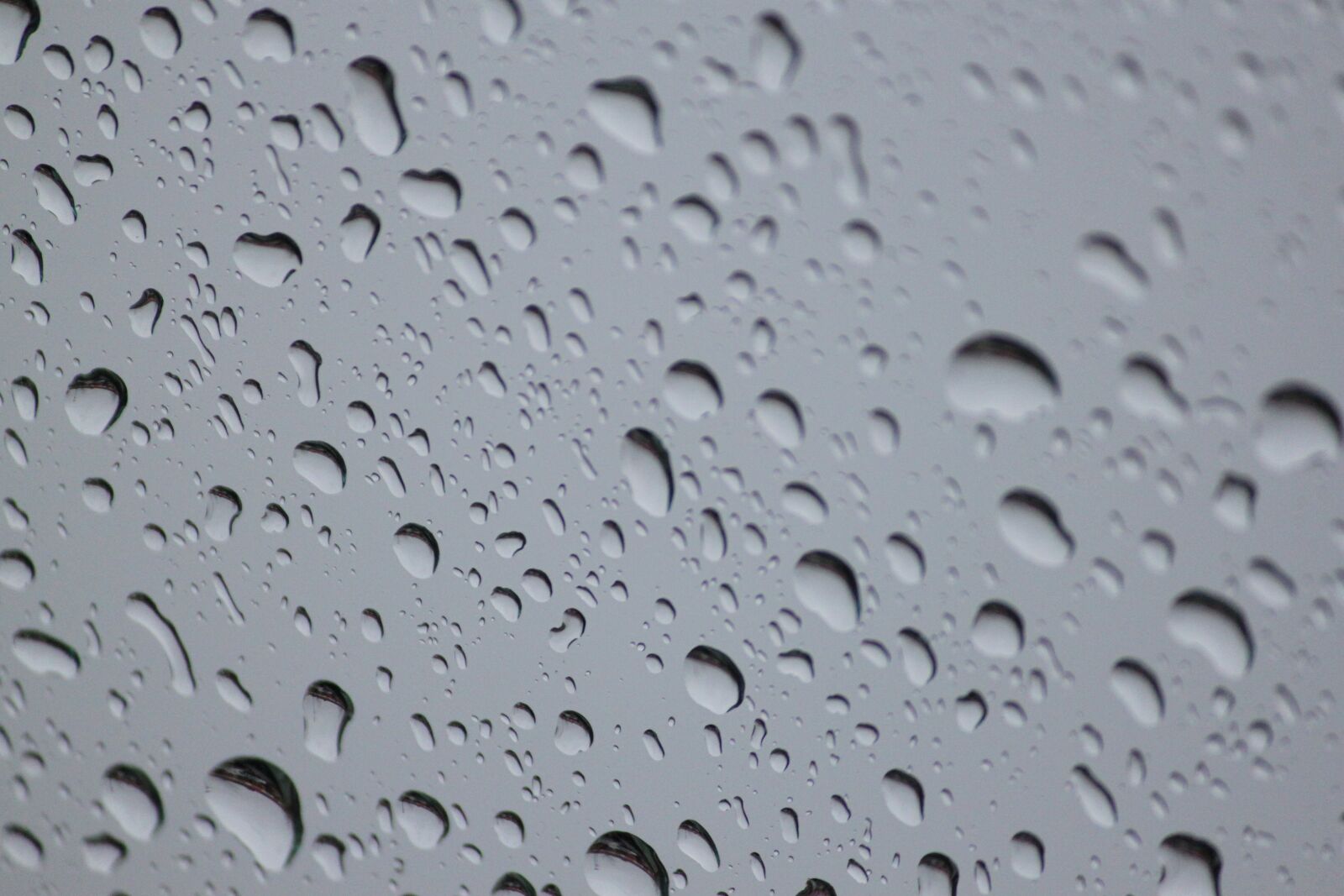 Canon EOS 500D (EOS Rebel T1i / EOS Kiss X3) sample photo. Rain, pattern, wet photography