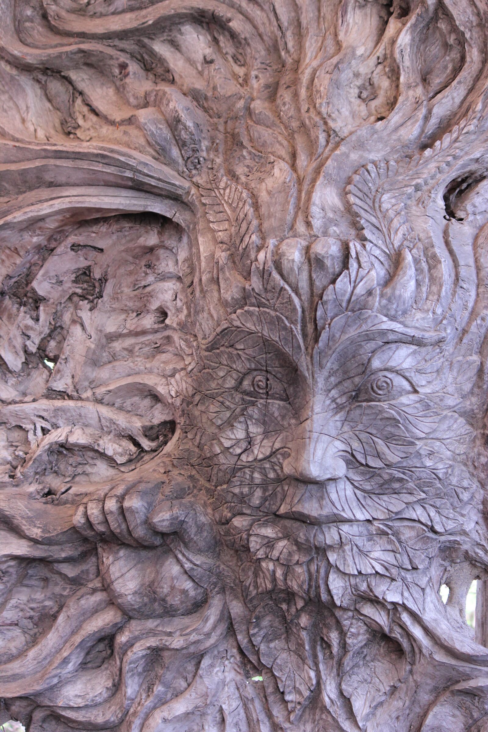 Canon EOS 600D (Rebel EOS T3i / EOS Kiss X5) sample photo. Tree spirit, wood, figure photography