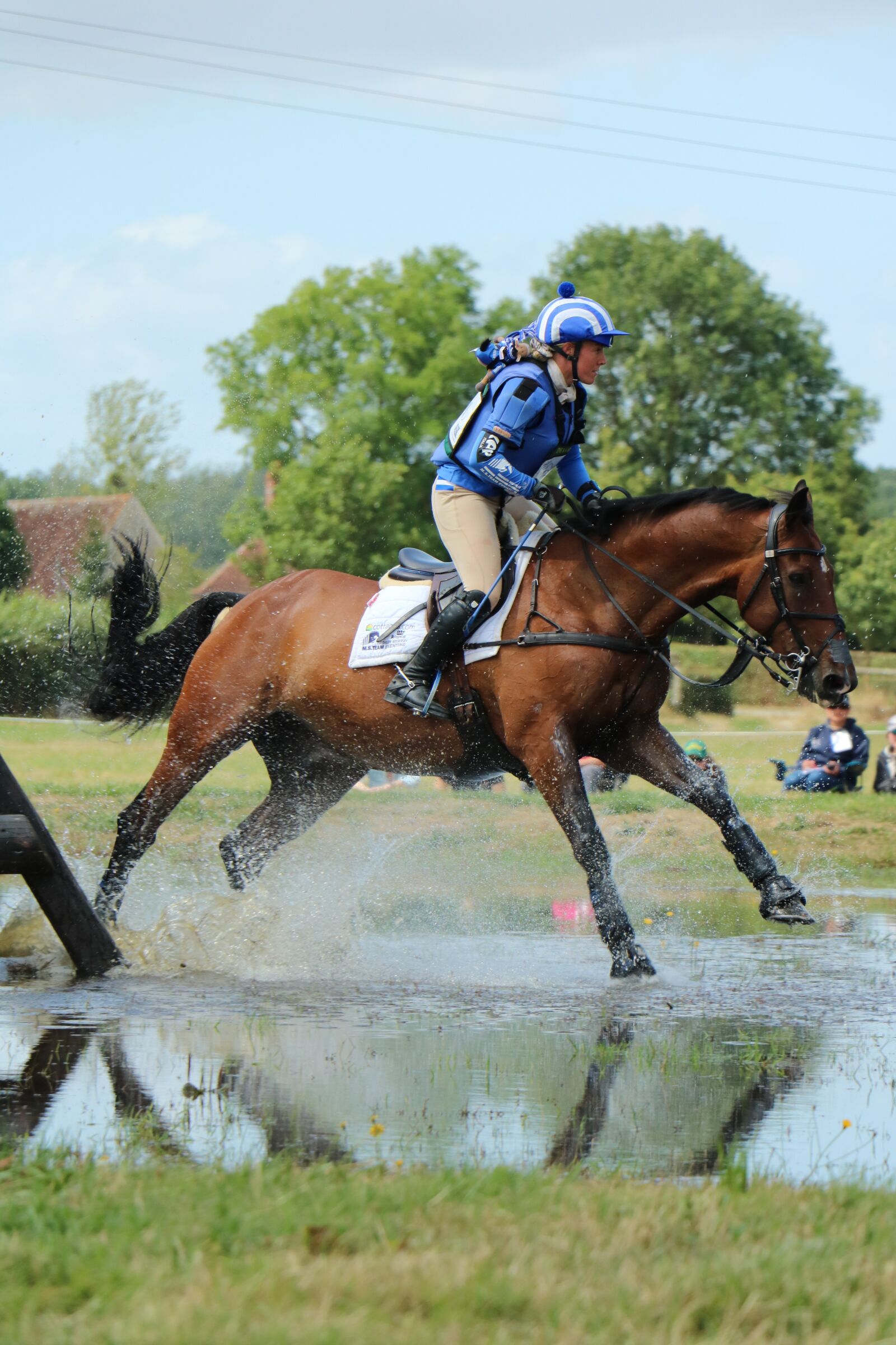 Canon EOS 750D (EOS Rebel T6i / EOS Kiss X8i) sample photo. Haras du pin, national photography