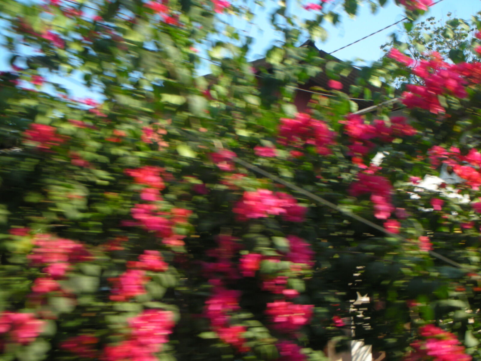 Nikon COOLPIX S7 sample photo