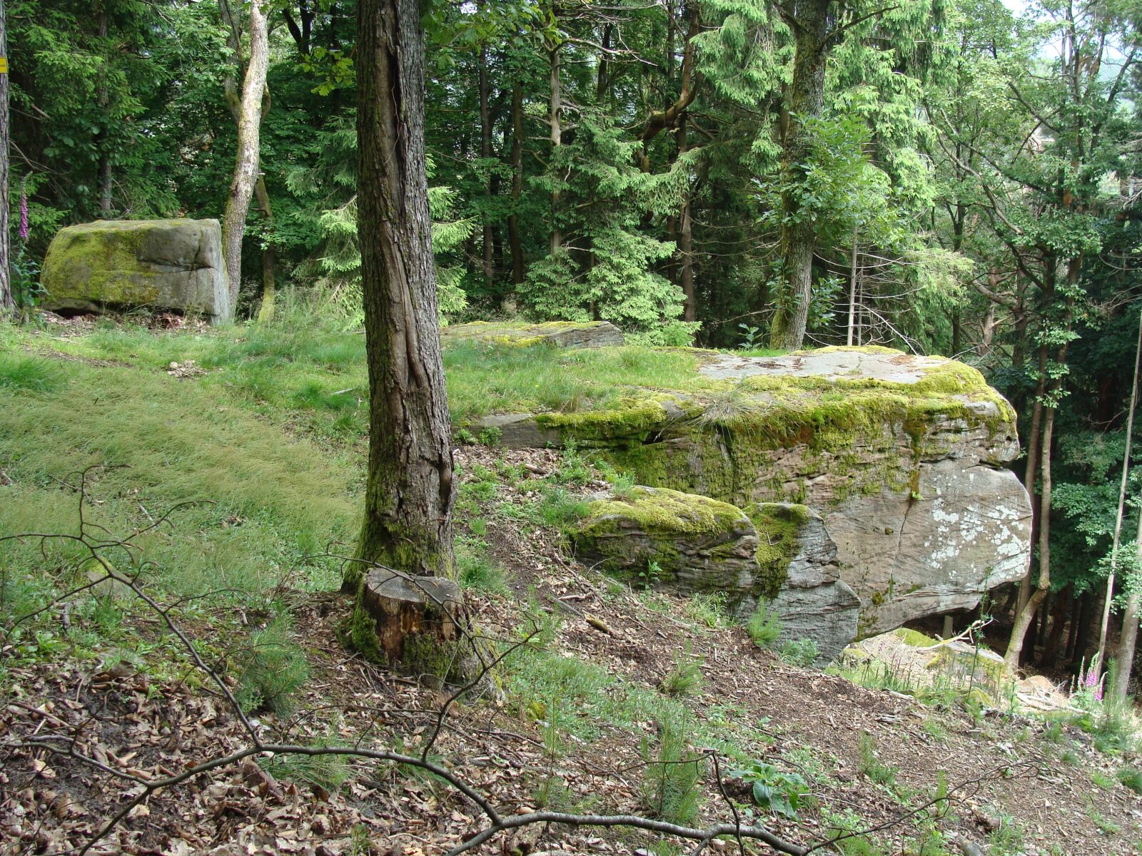 Sony Cyber-shot DSC-H10 sample photo. Schornsteinfelsen, palatinate forest, germany photography