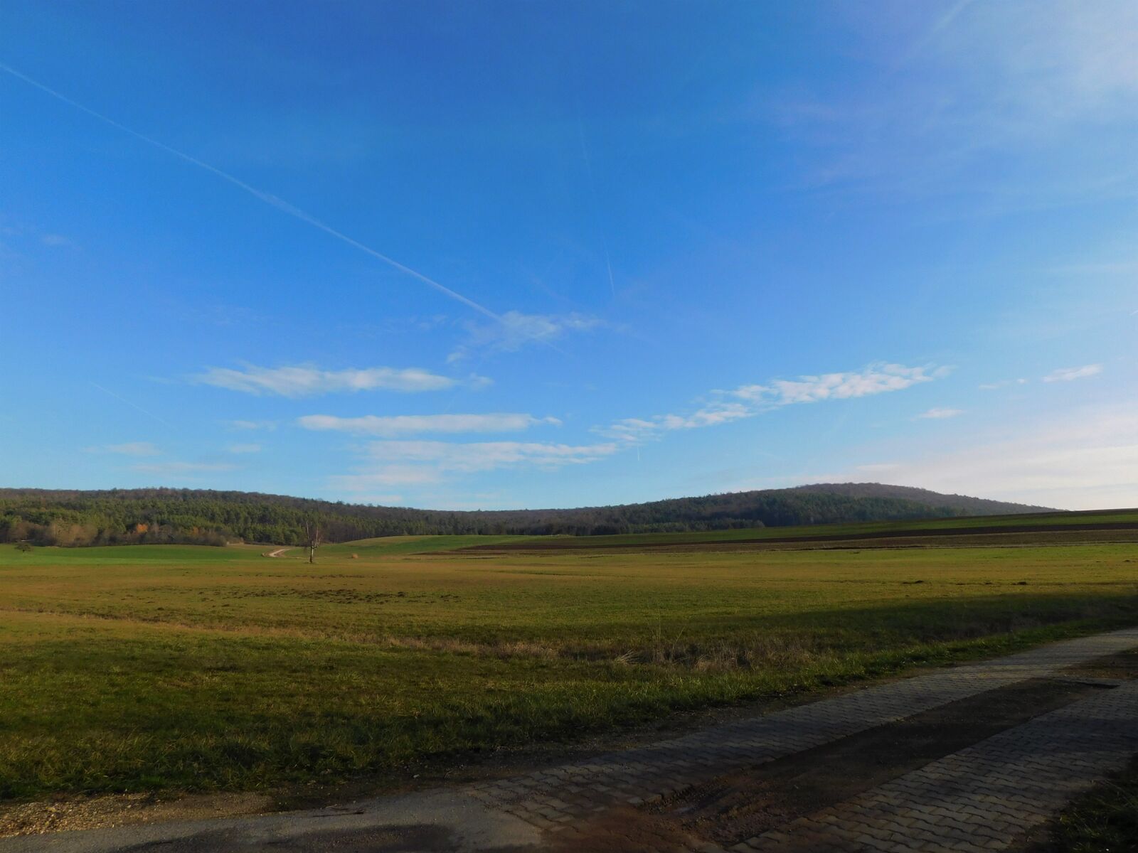 Nikon Coolpix B500 sample photo. Horizon, meadow, forest photography