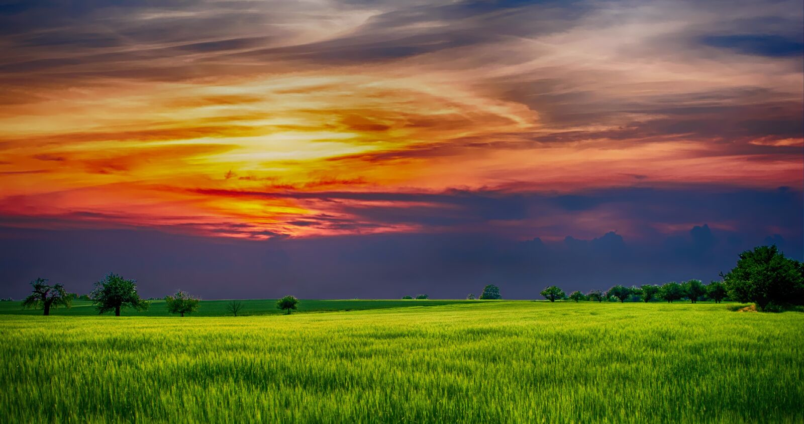 Nikon D5100 sample photo. Countryside, landscape, nature photography