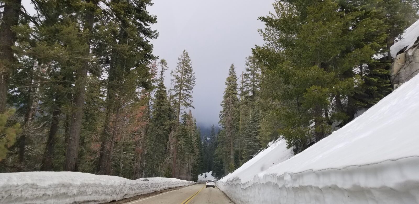 Samsung Galaxy S8+ sample photo. Sequoia national park, snow photography
