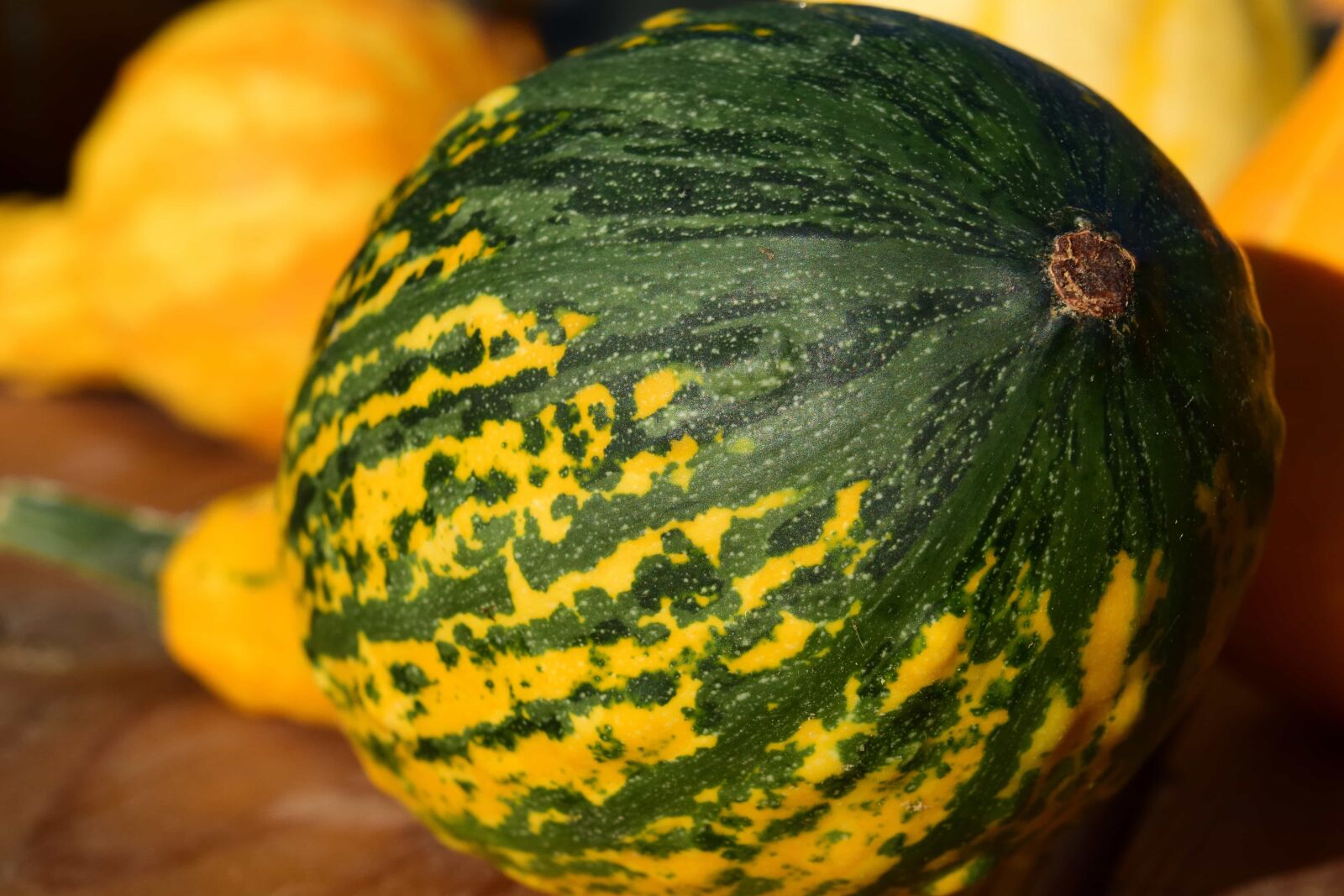 Nikon D3300 sample photo. Food, vegetable, pumpkin, nature photography