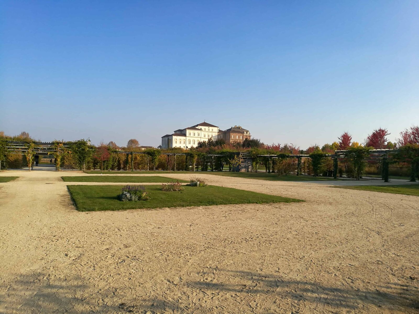 HUAWEI Honor 8 sample photo. Grass, tree, landscape, daylight photography