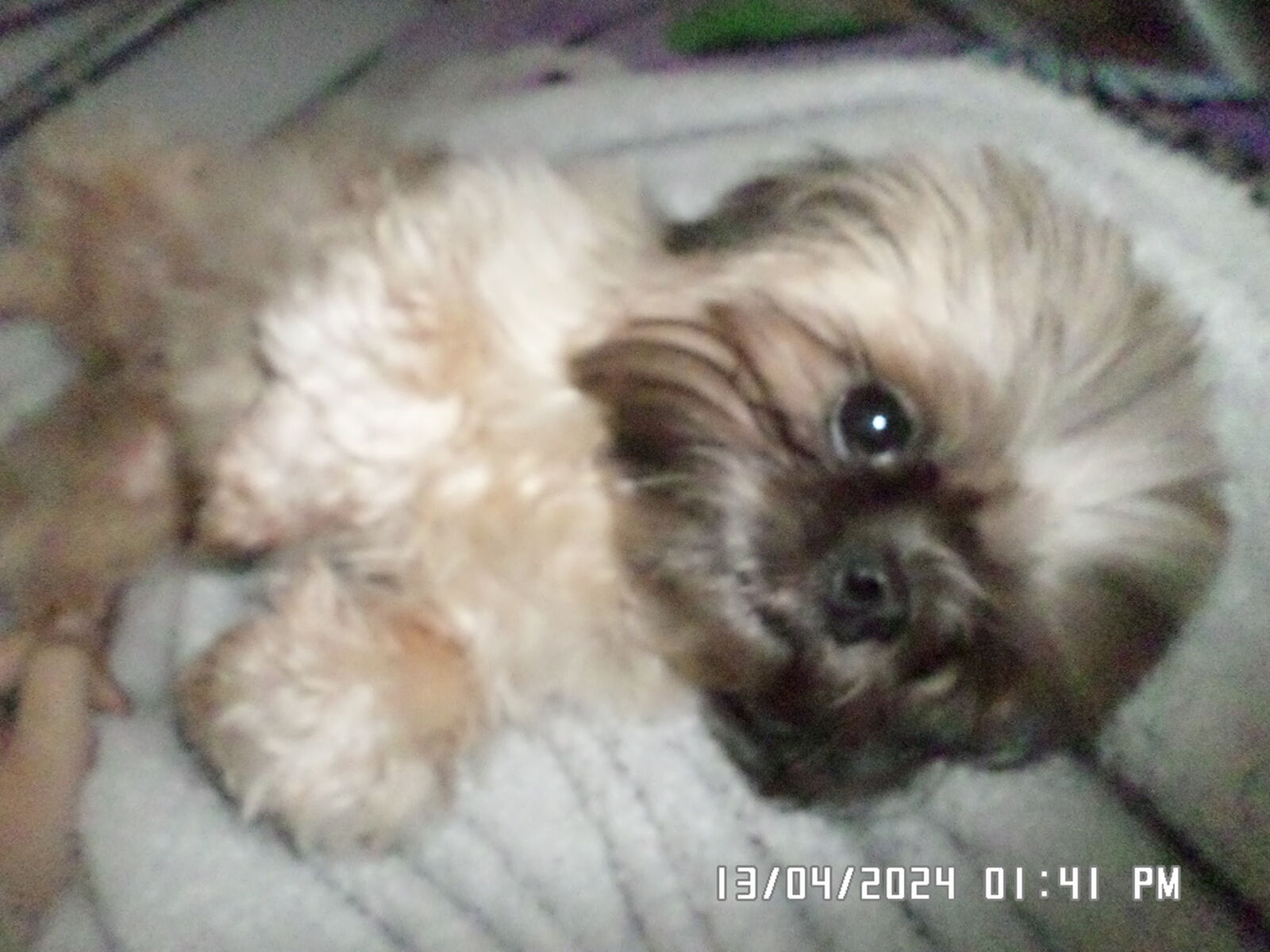 Samsung ST150F/ST151F/ST152F sample photo
