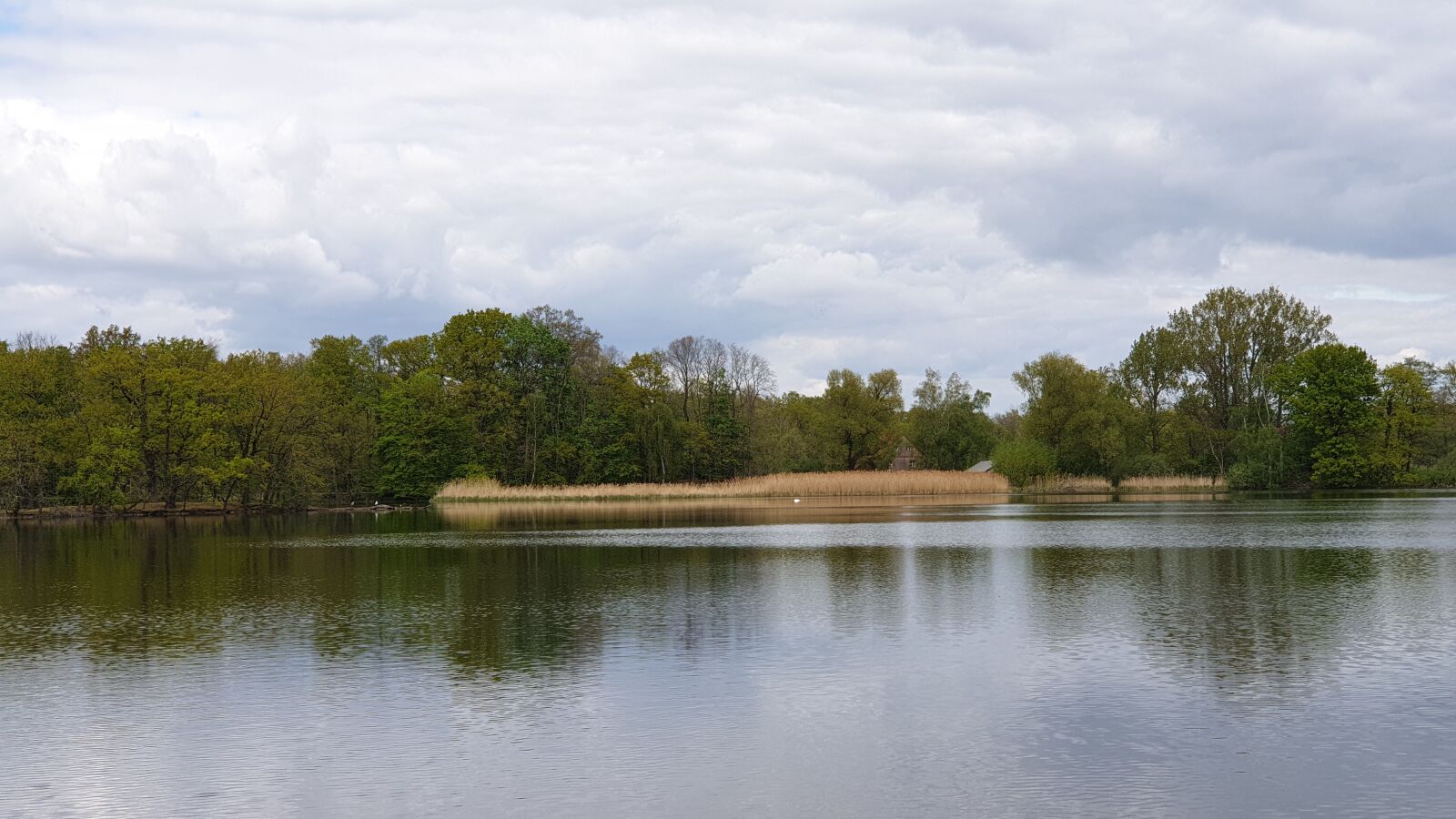 Samsung Galaxy Note9 sample photo. Nature, lake, landscape photography