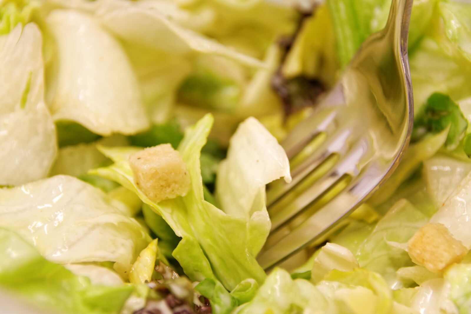 Canon EOS 30D sample photo. Salad, eat, food photography