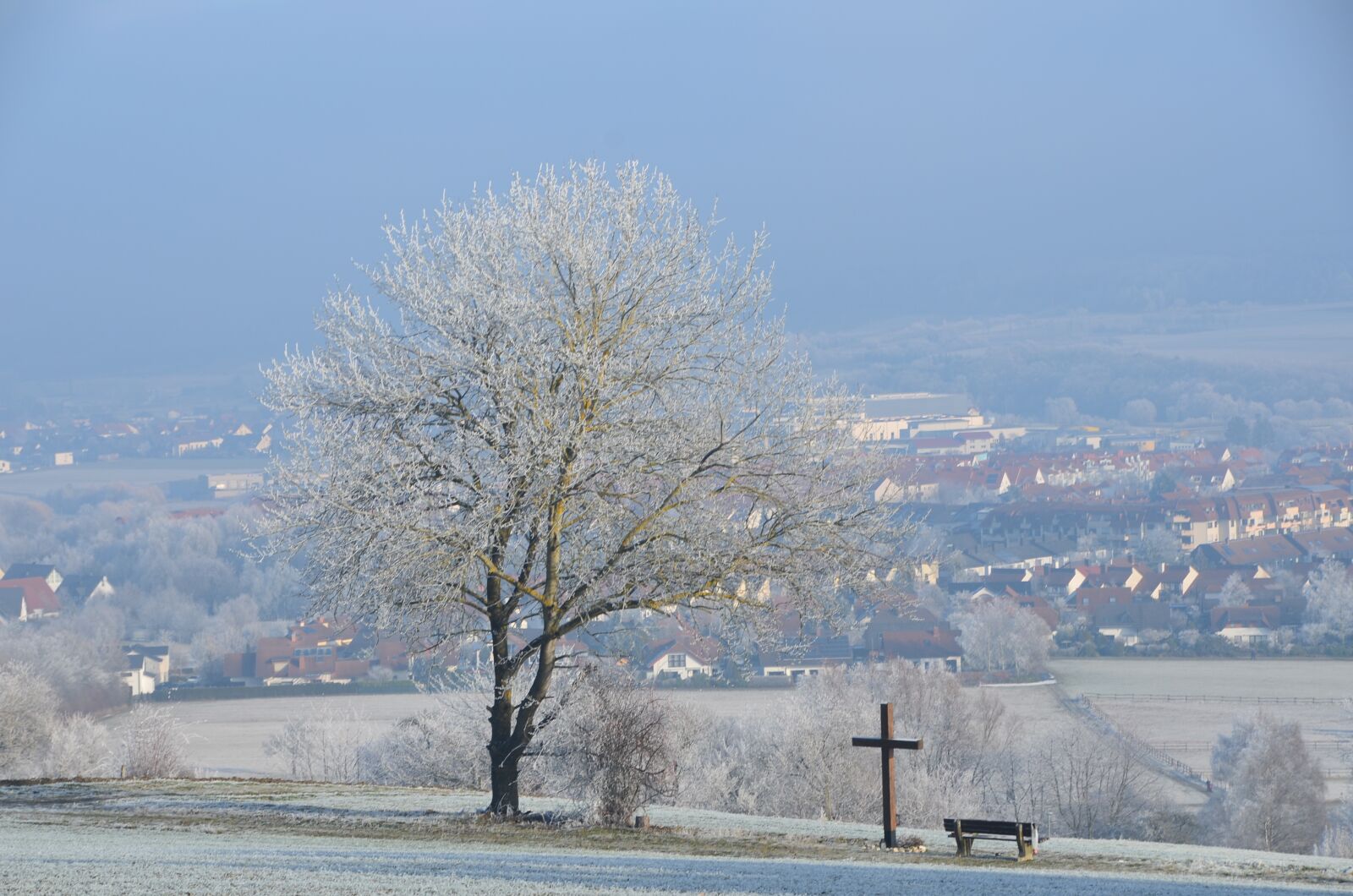 Nikon D7000 sample photo. Winter, snow, tree photography