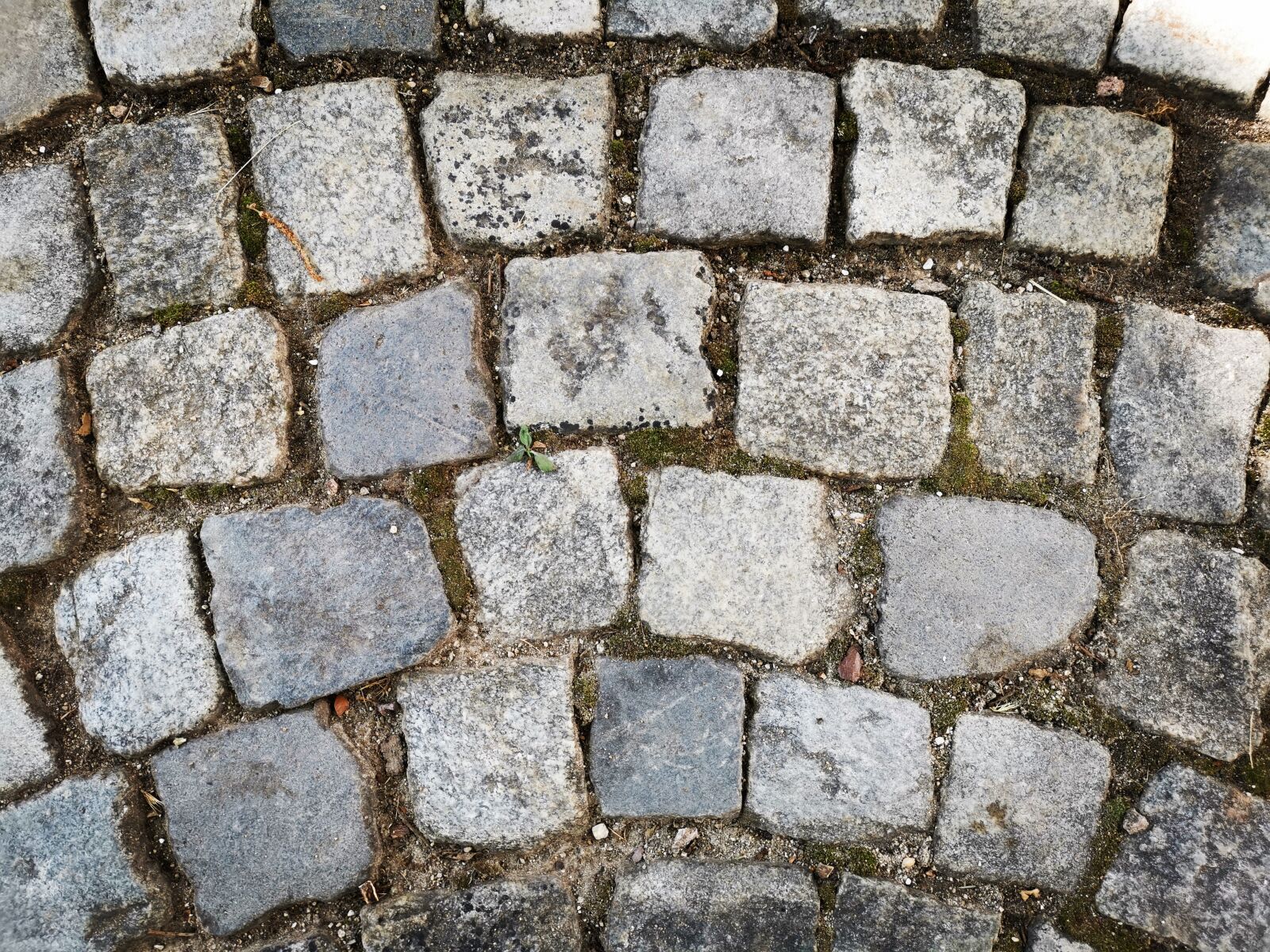 HUAWEI LYA-L29 sample photo. Cobblestones, paving, stones photography