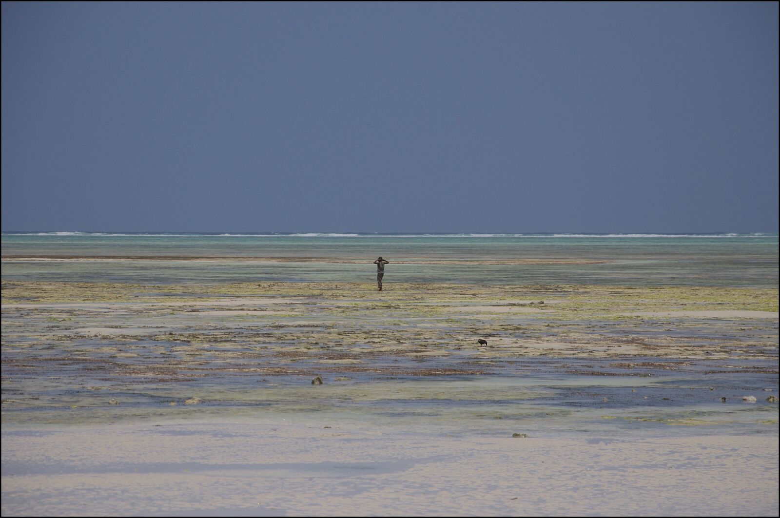 Nikon D300 sample photo. Zanzibar, indian ocean, tanzania photography