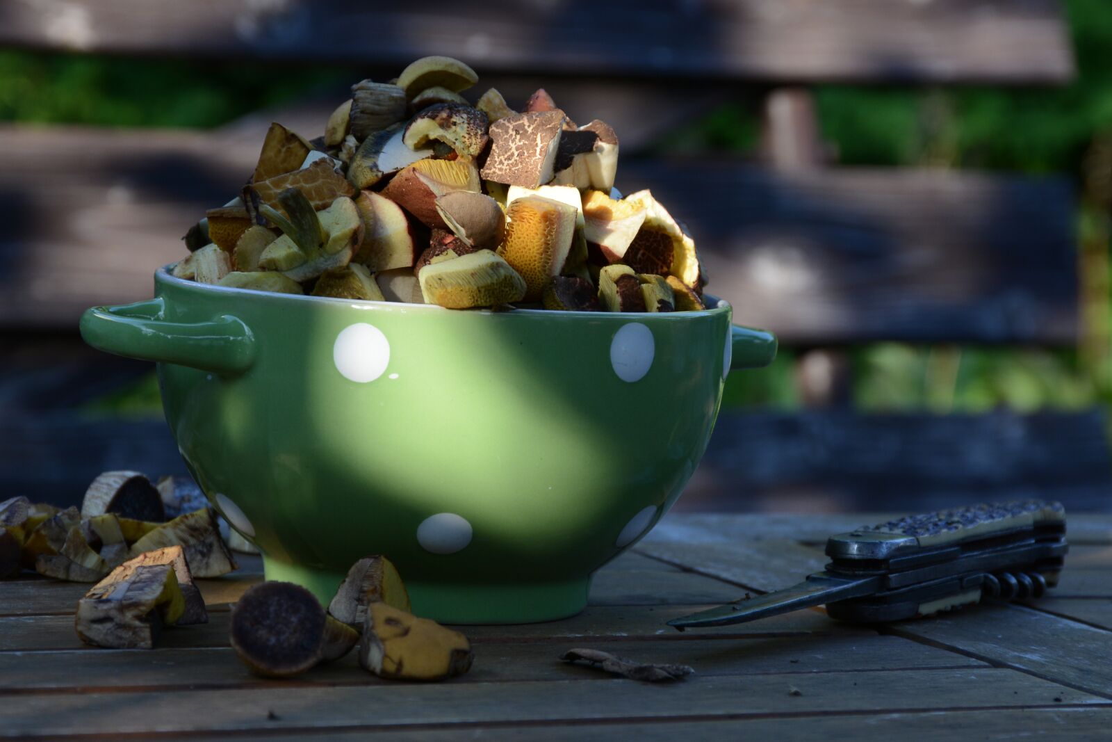 Nikon D7100 sample photo. Mushrooms, forest, nature photography