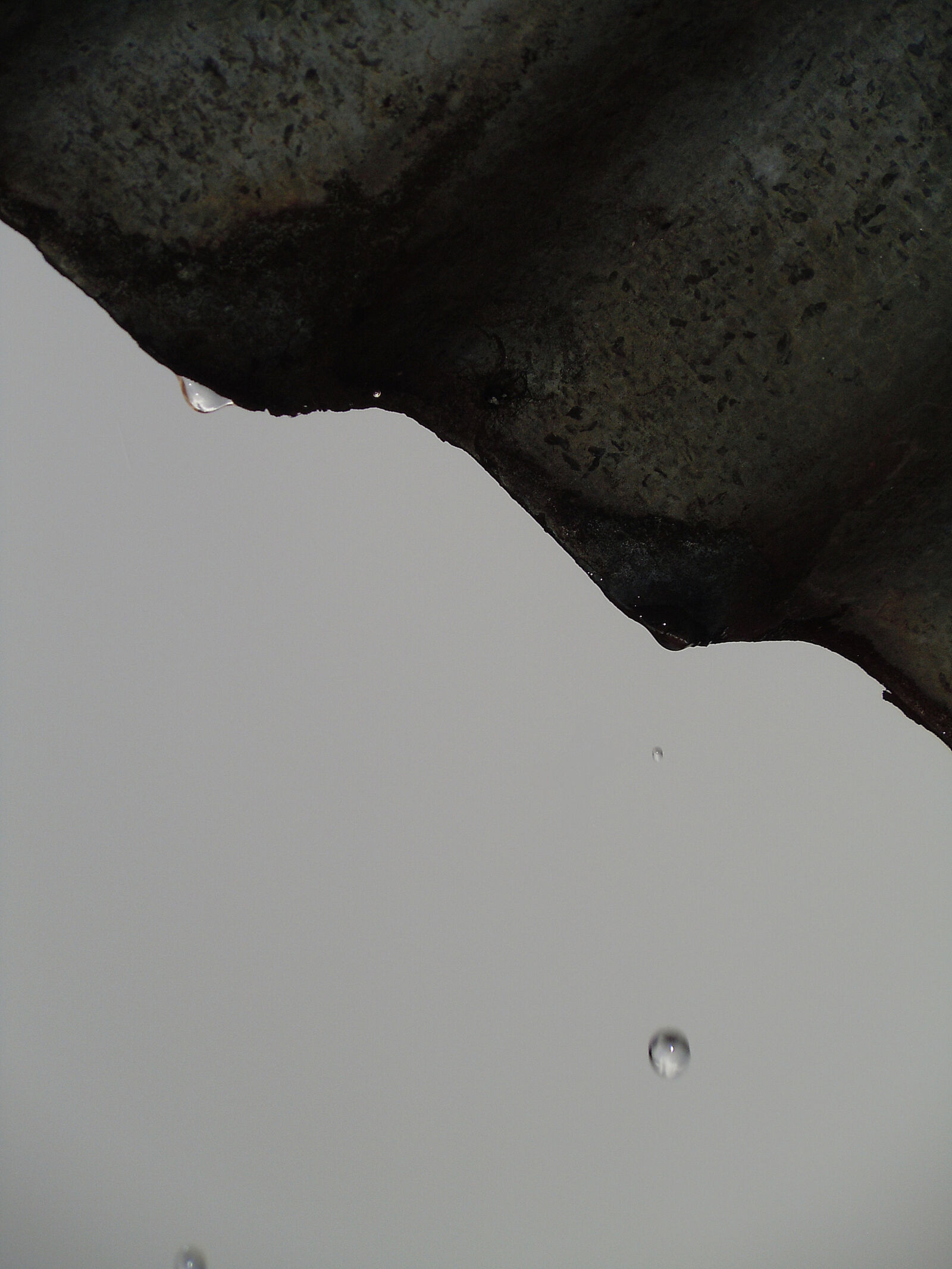 Nikon Coolpix S6000 sample photo