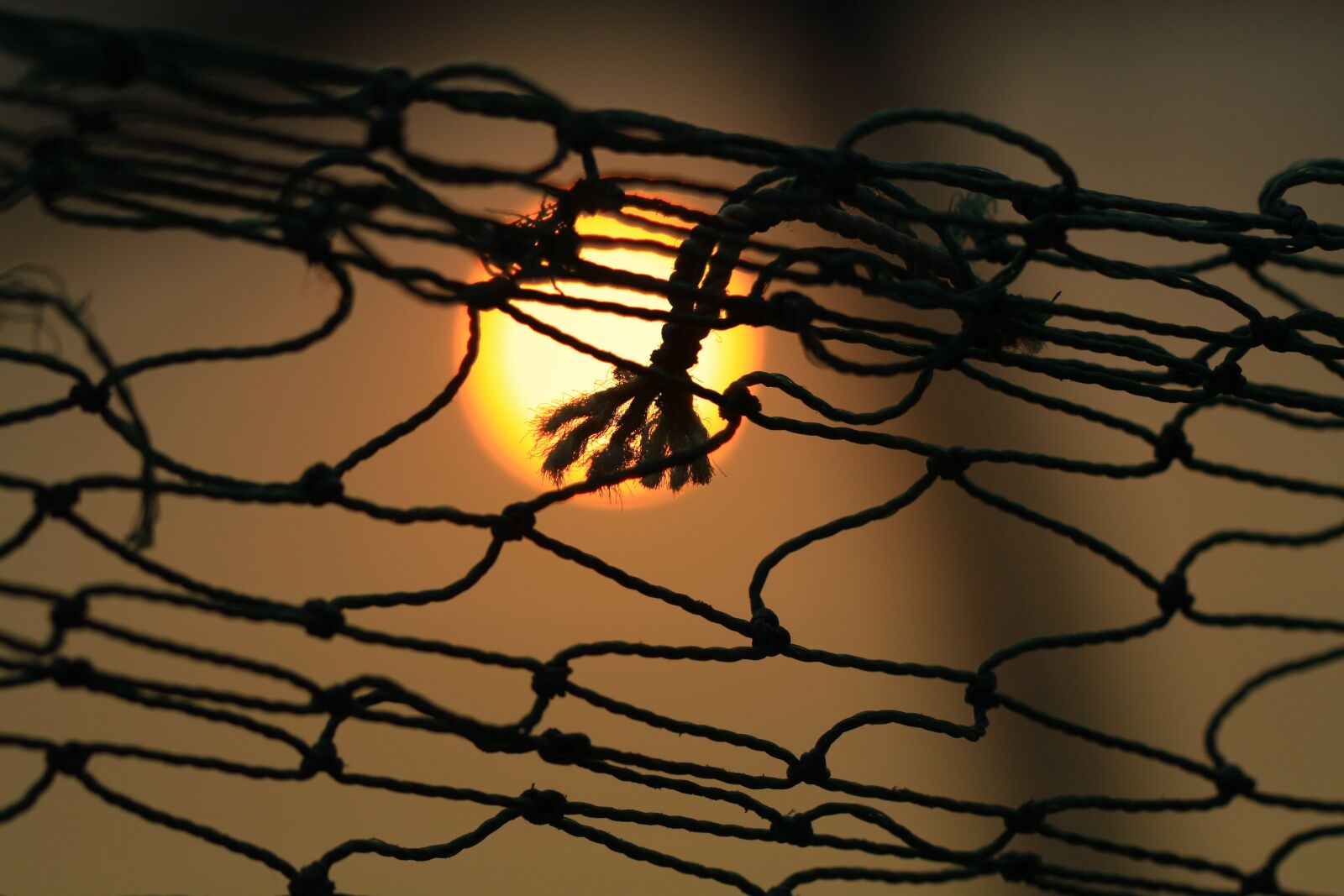 Canon EOS 50D sample photo. Sunset, sun, fishing nets photography