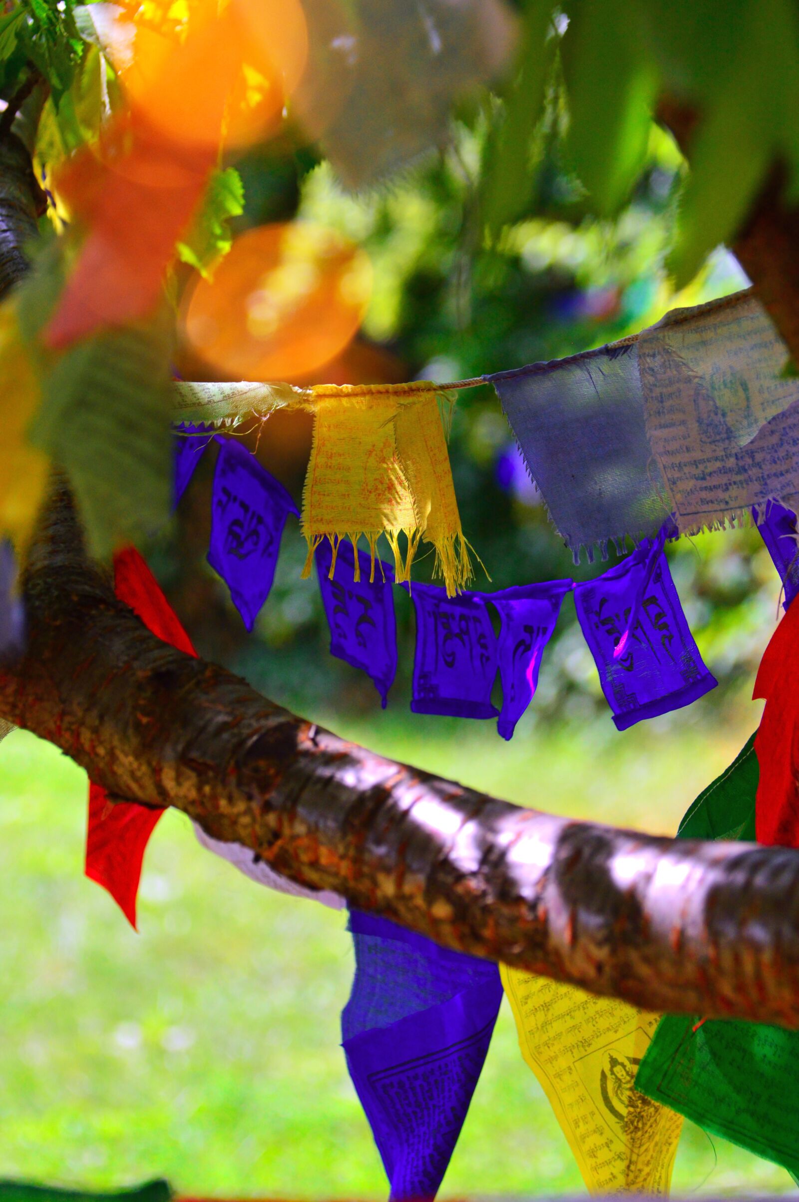 Nikon D3200 sample photo. Buddha, prayer flags, flag photography