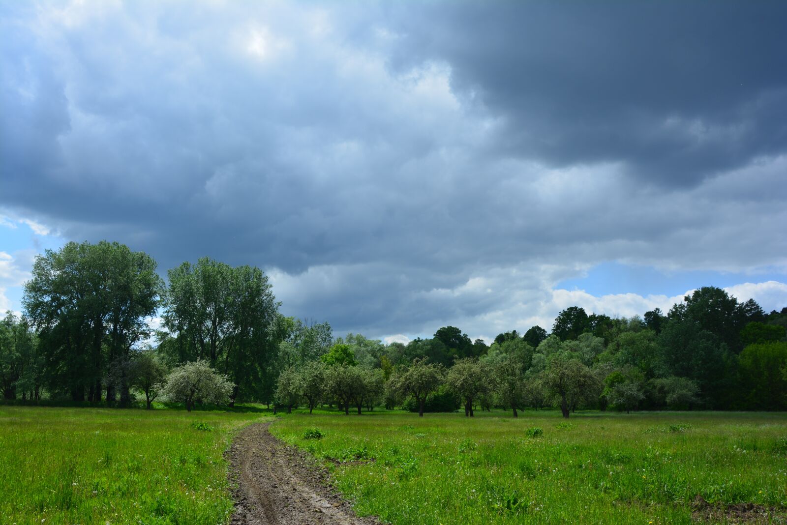 Nikon D5200 sample photo. Clouds, way, spacer photography
