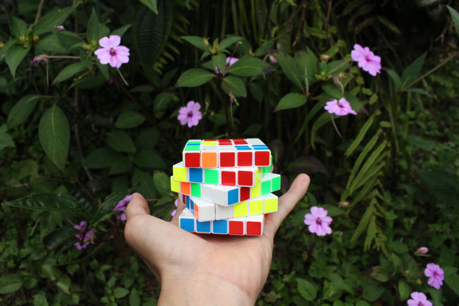 Canon EOS 700D (EOS Rebel T5i / EOS Kiss X7i) sample photo. Lovely, nature, romantic, rubik photography