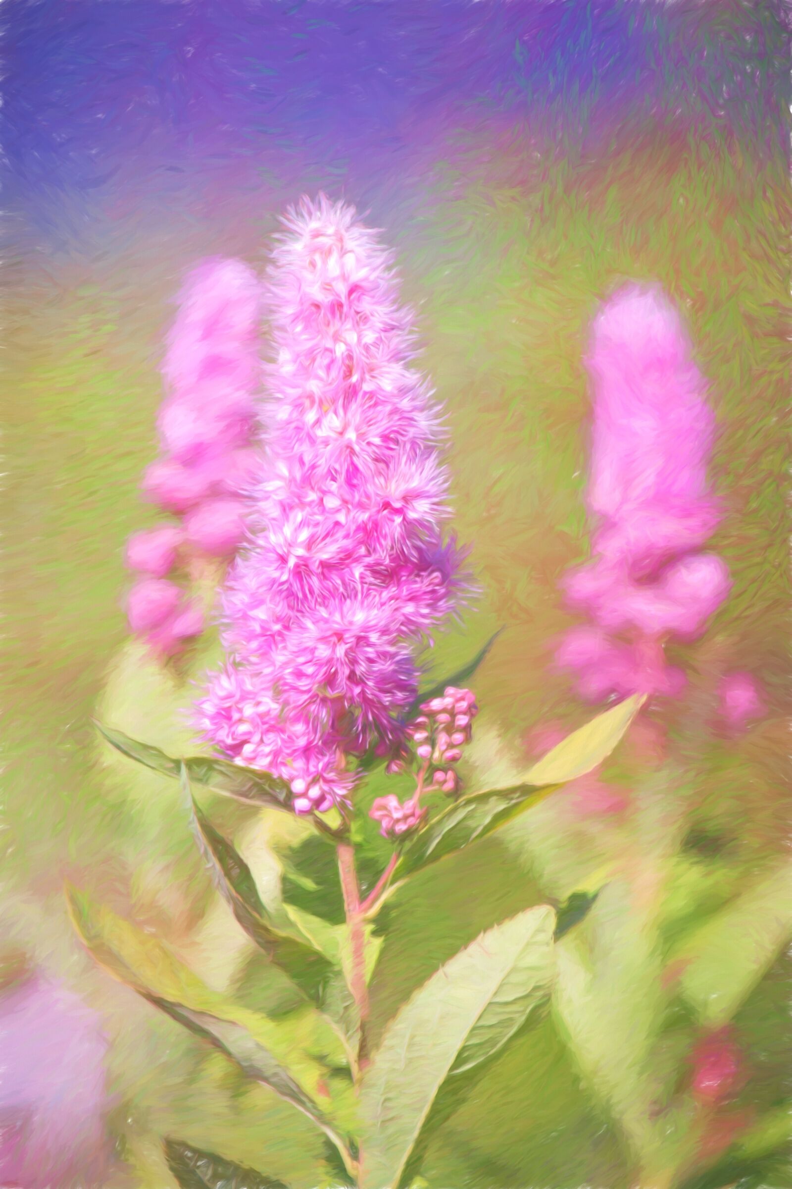 Nikon D7100 sample photo. Painting, image, paint photography