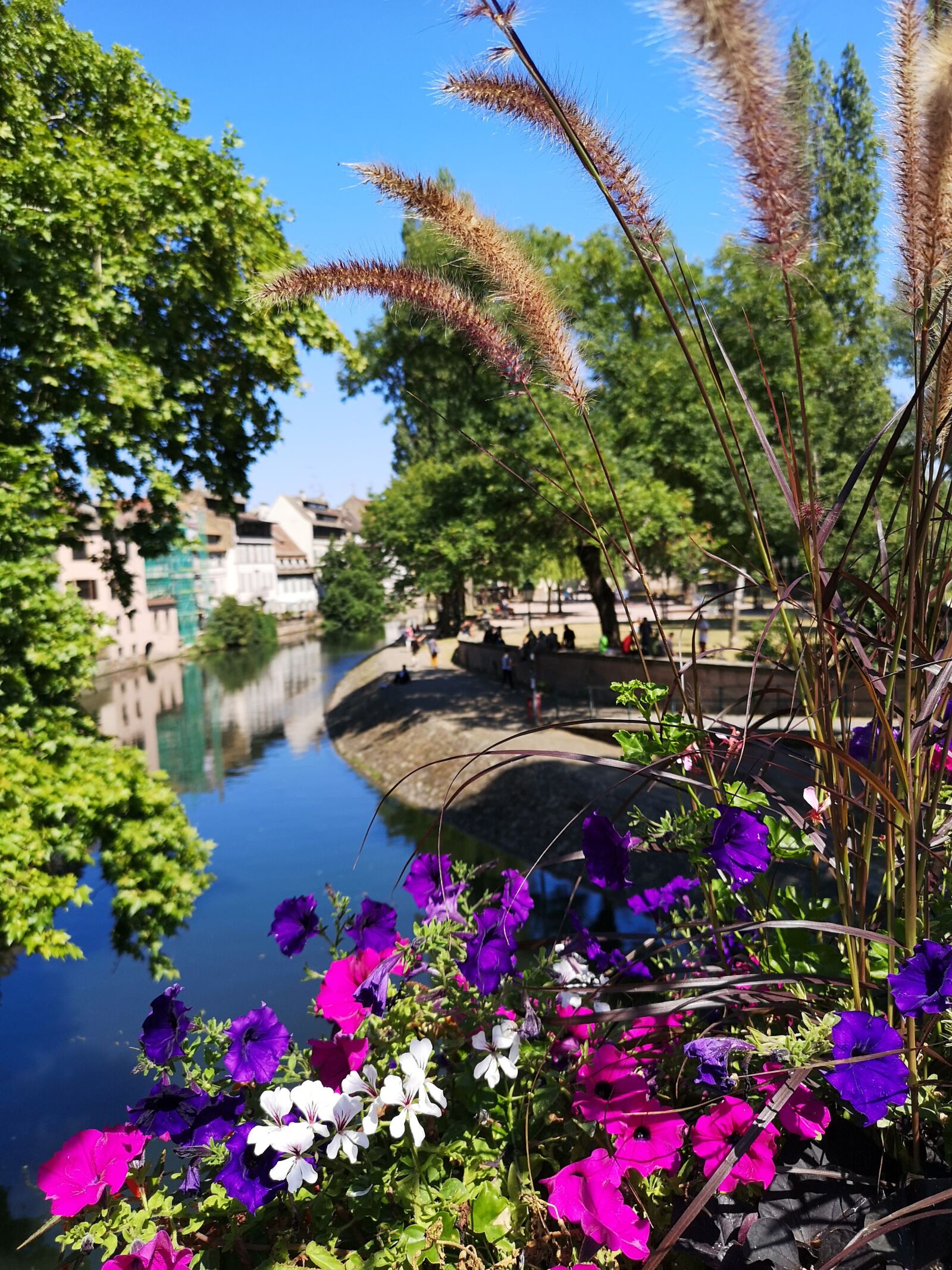 HUAWEI CLT-L29 sample photo