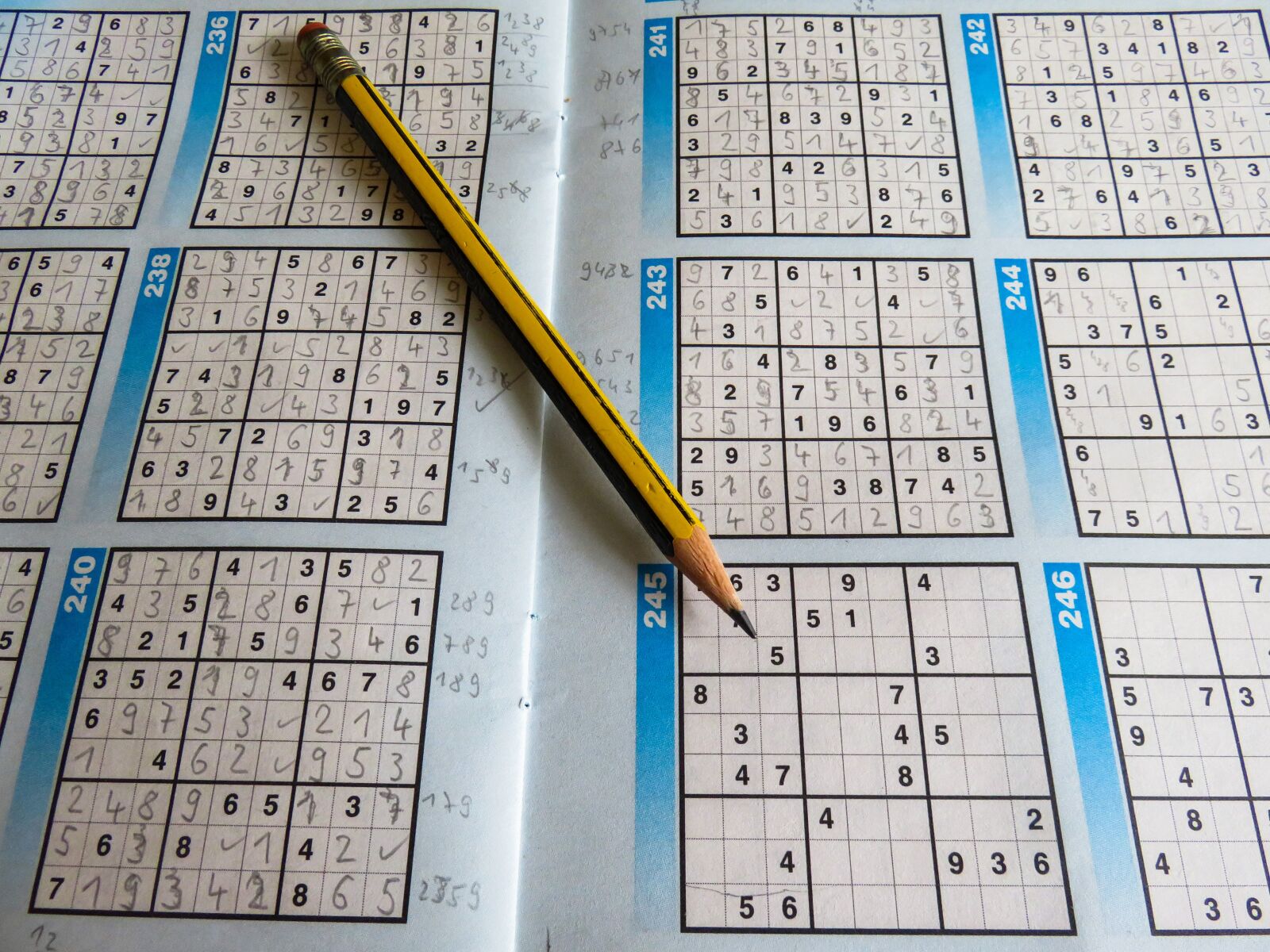 Canon PowerShot SX710 HS sample photo. Leisure, puzzles, sudoku photography