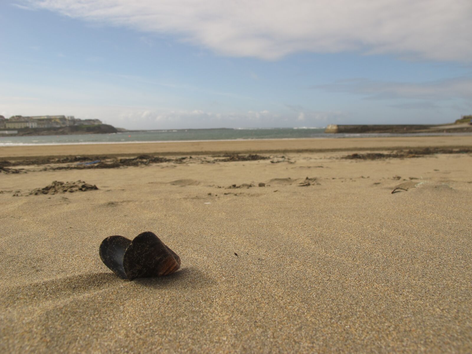 Canon PowerShot G12 sample photo. Shell, sea, sand photography