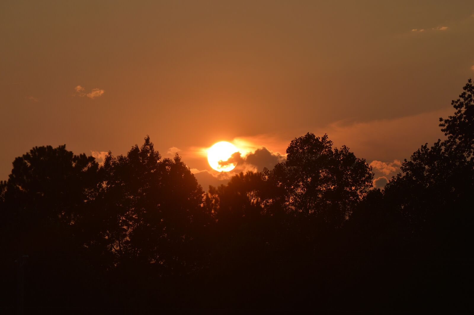 Nikon D3200 sample photo. Sunset, benson nc, country photography