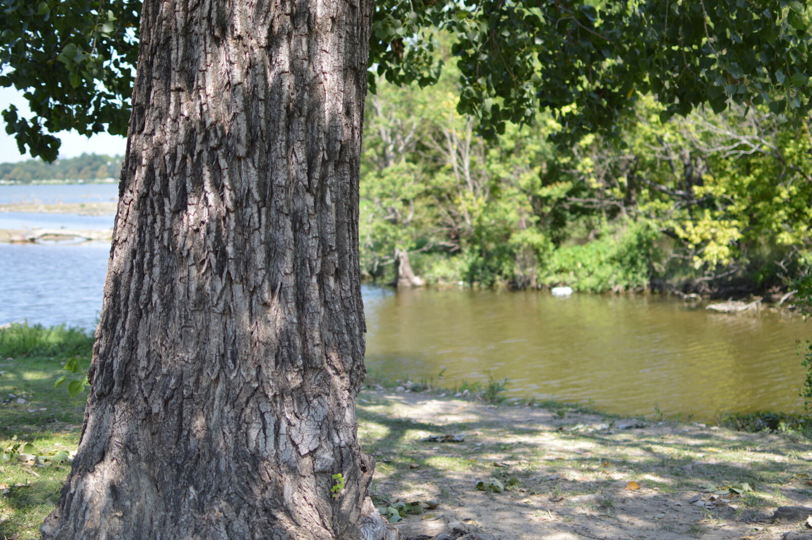 Nikon D3200 sample photo