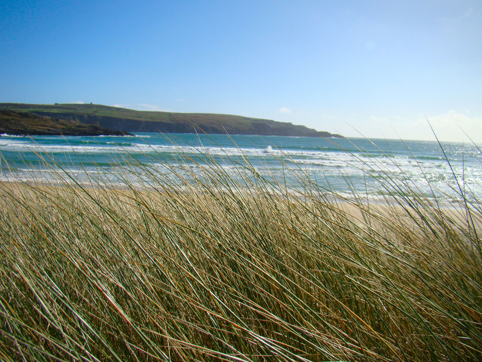 Sony Cyber-shot DSC-H50 sample photo. Beach, grass, ireland, sand photography