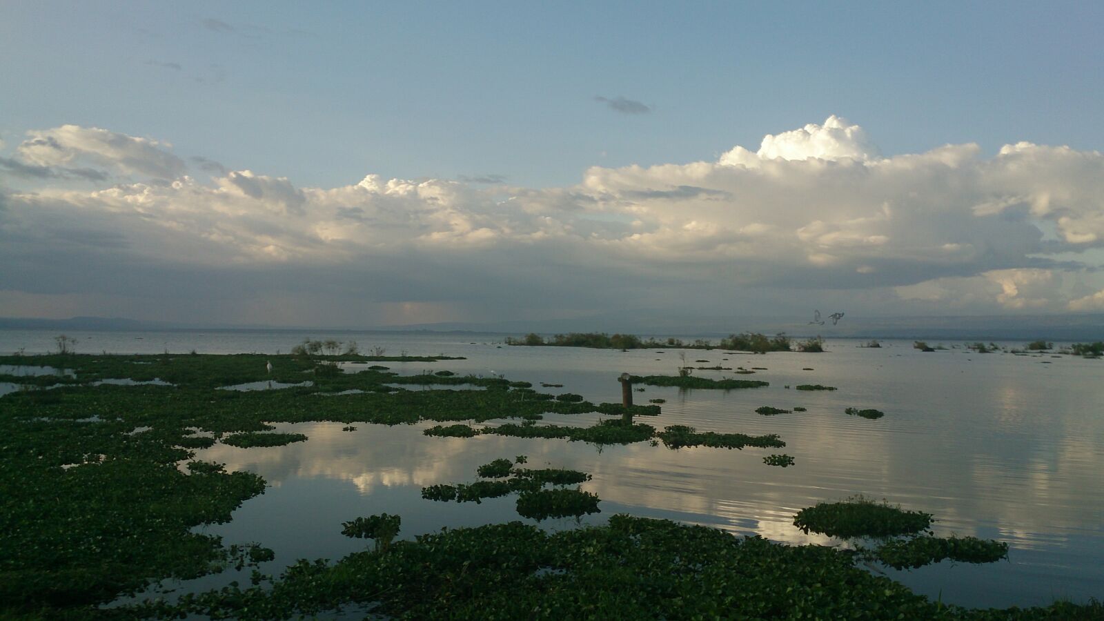 Sony Xperia Z sample photo. Lake, view, on, a photography