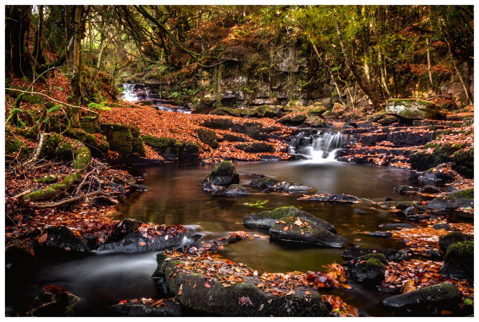 Nikon D7100 sample photo. Autumn, water, fall photography