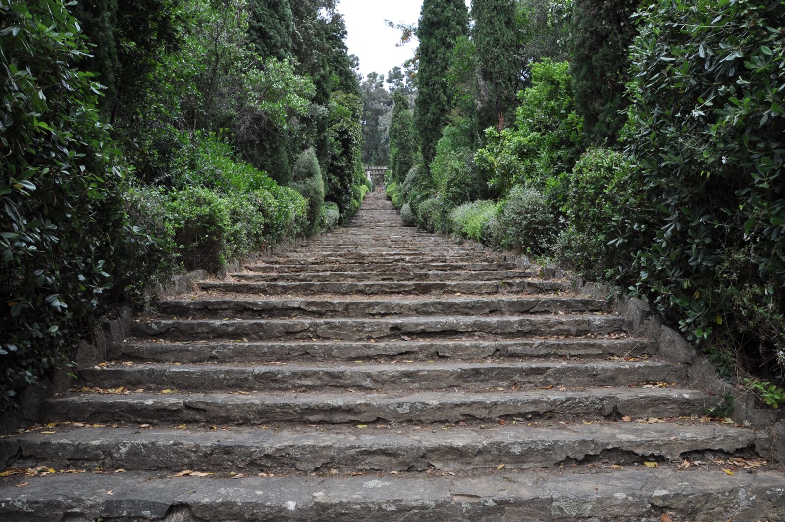 Nikon D90 sample photo. Stairs, garden, park photography