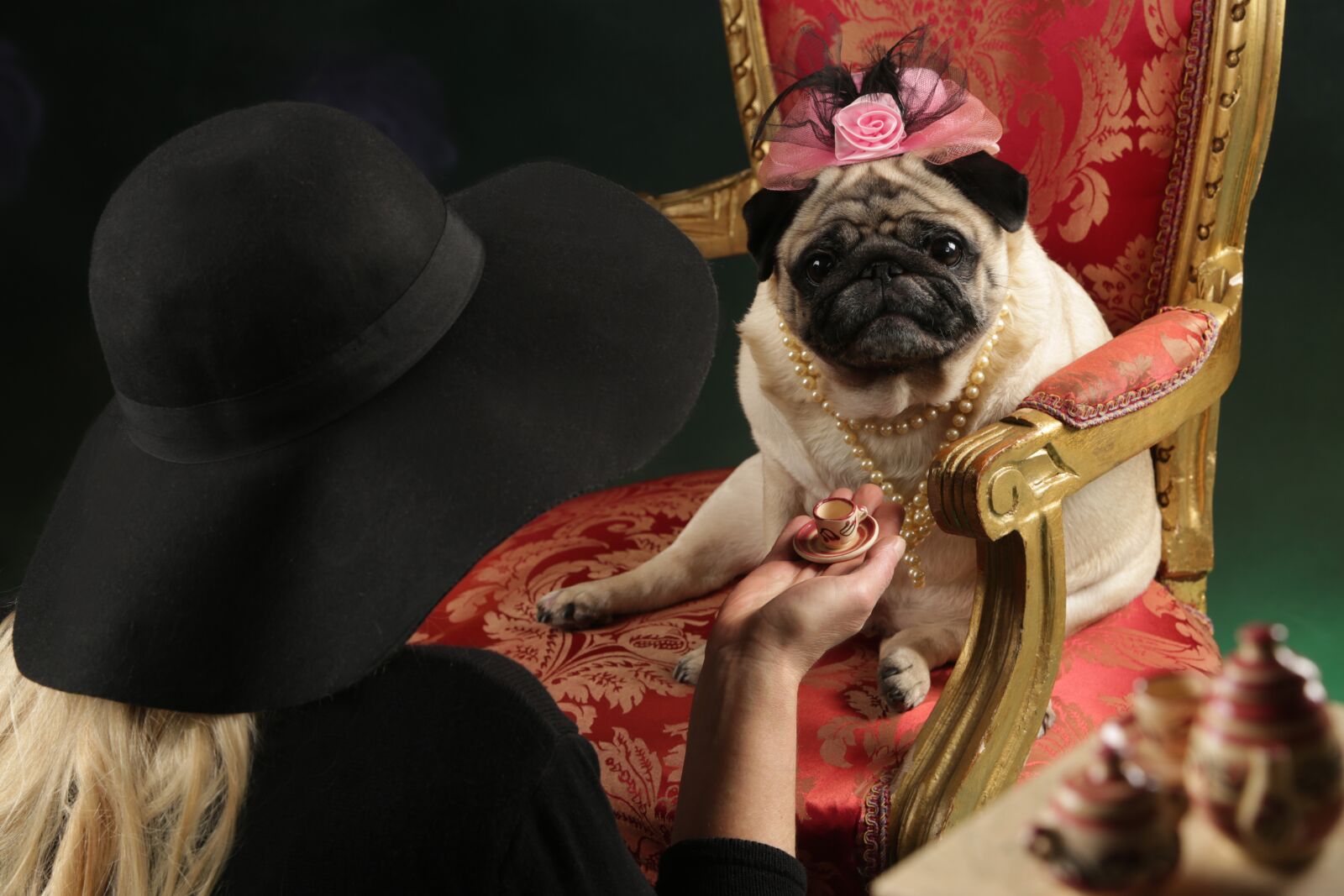 Canon EOS 5D Mark III sample photo. Pug, coffee, tea party photography